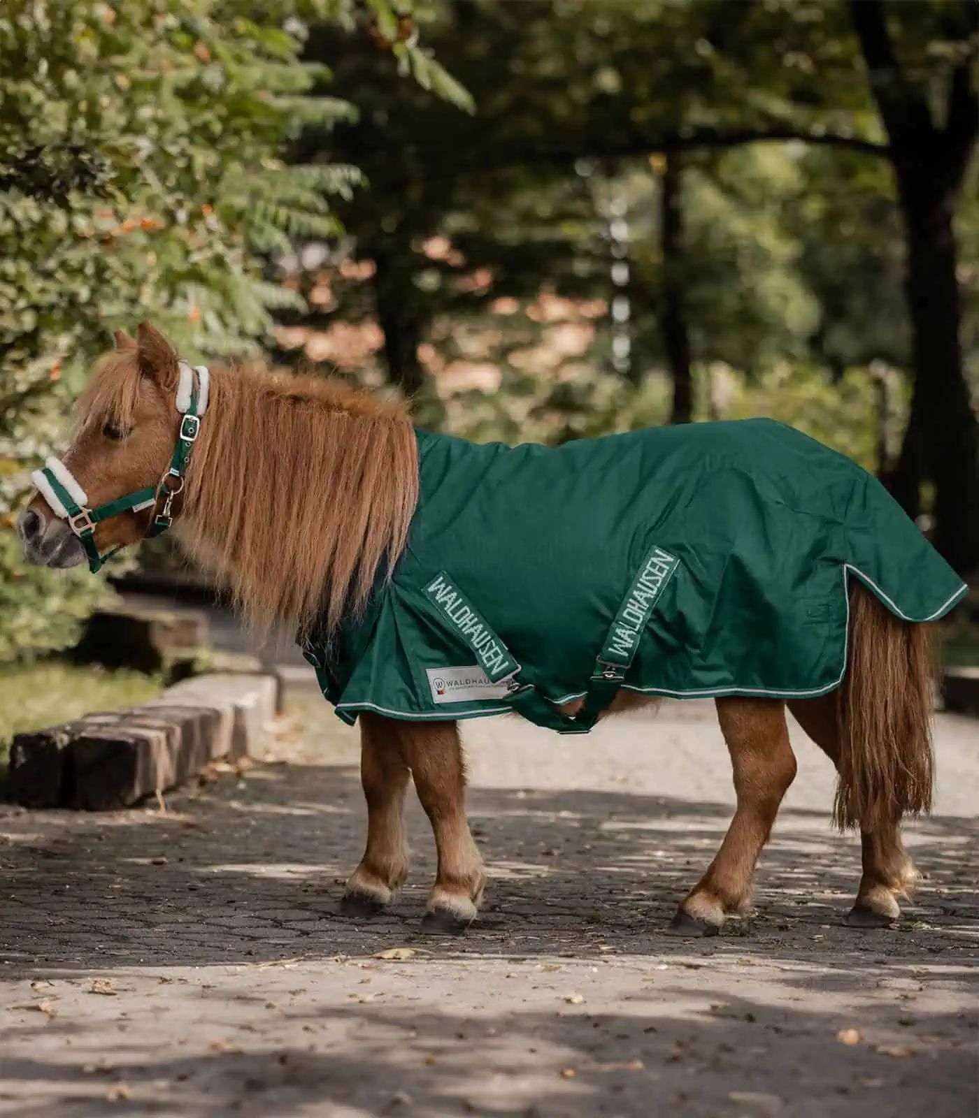 Waldhausen Chemise de Pluie Shetty Light, imperméable & respirante, vert sapin, 90 cm