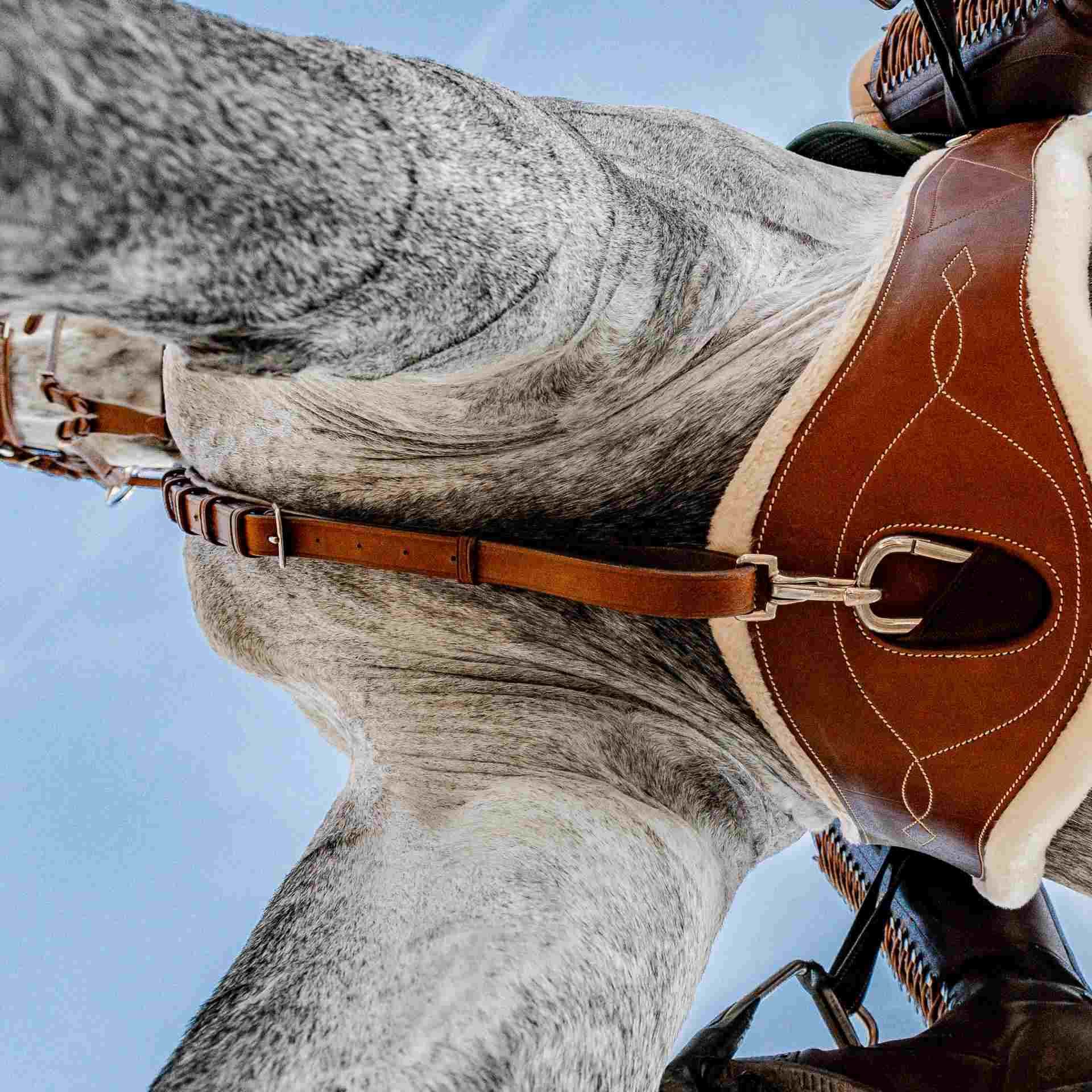BUSSE Vorderzeug TAKE-OFF LINE AP, Springvorderzeug mit Martingalgabel, im Einsatz