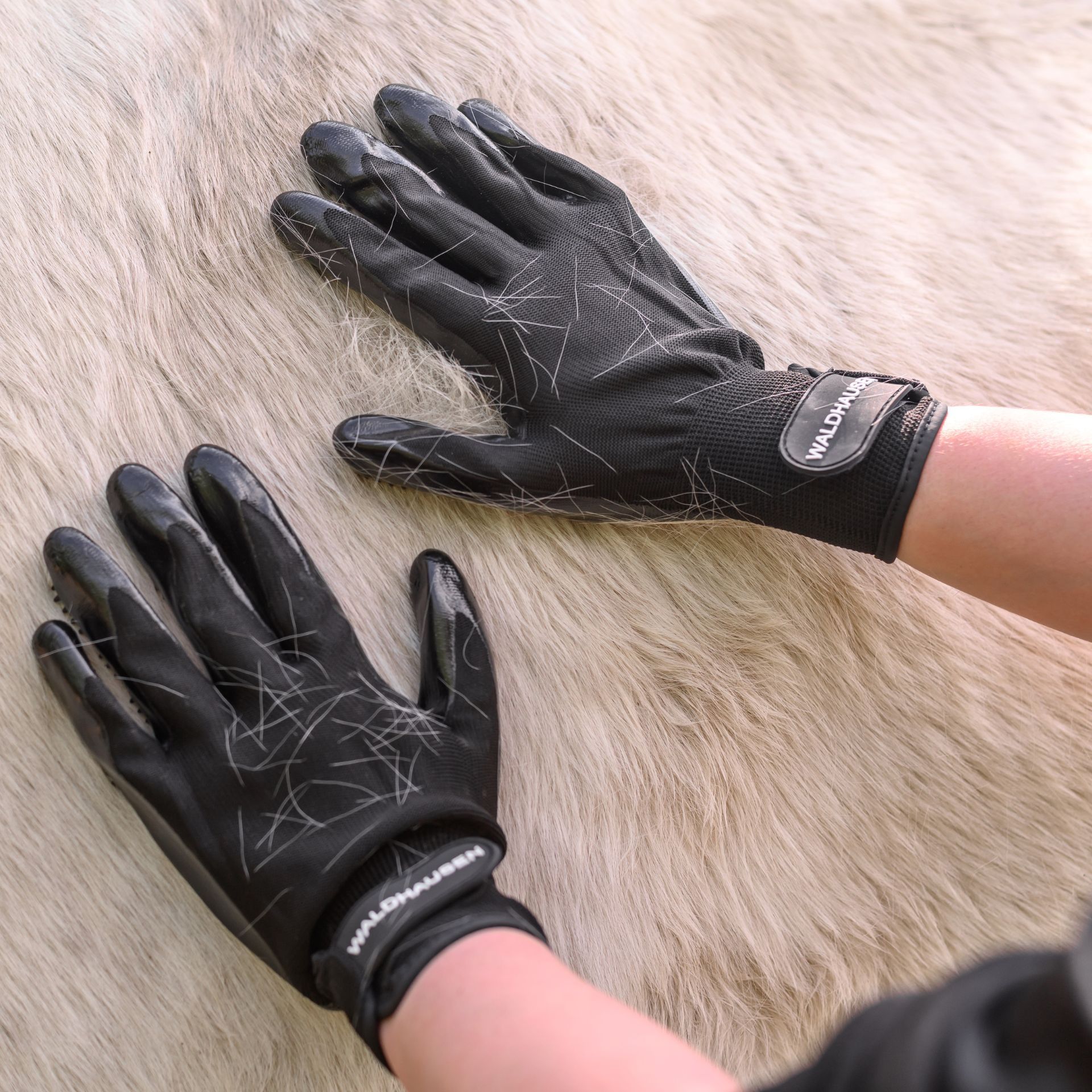 Waldhausen Putz- und Pflegehandschuh für Pferde, Noppenstruktur, im Einsatz, in der Hand