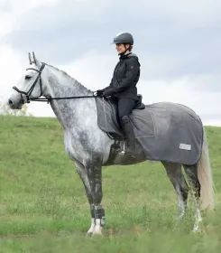 Reiterin mit Helm sitzt auf Schimmel mit grauer Abschwitzdecke auf einer Wiese