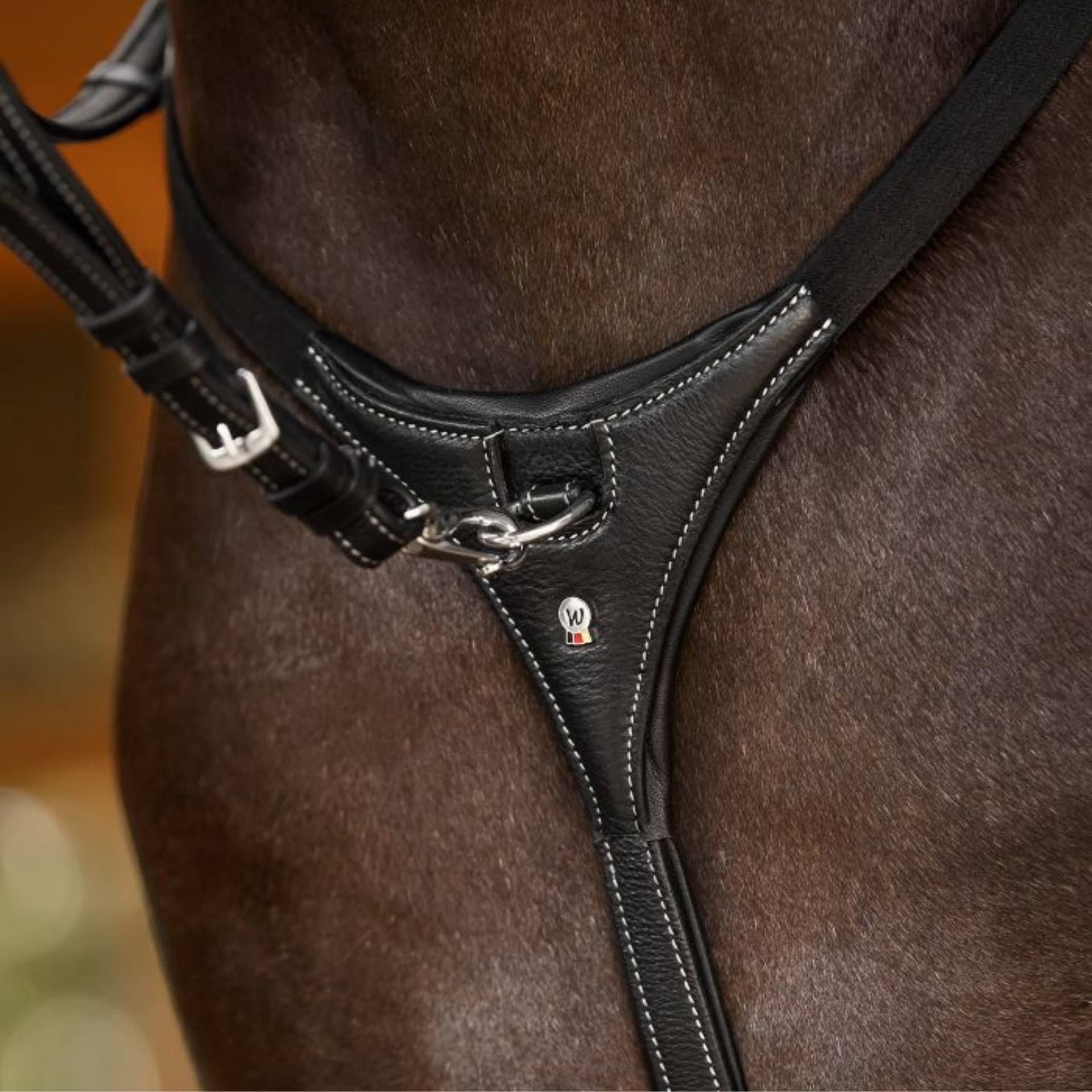 saddle, bridle, stirrup, strap, leather