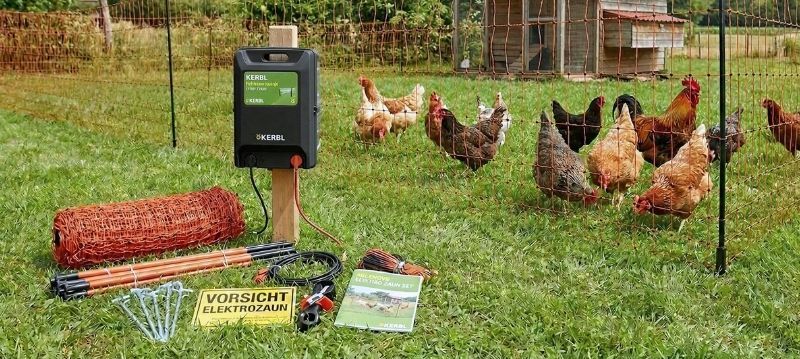 Kit de clôture pour volailles