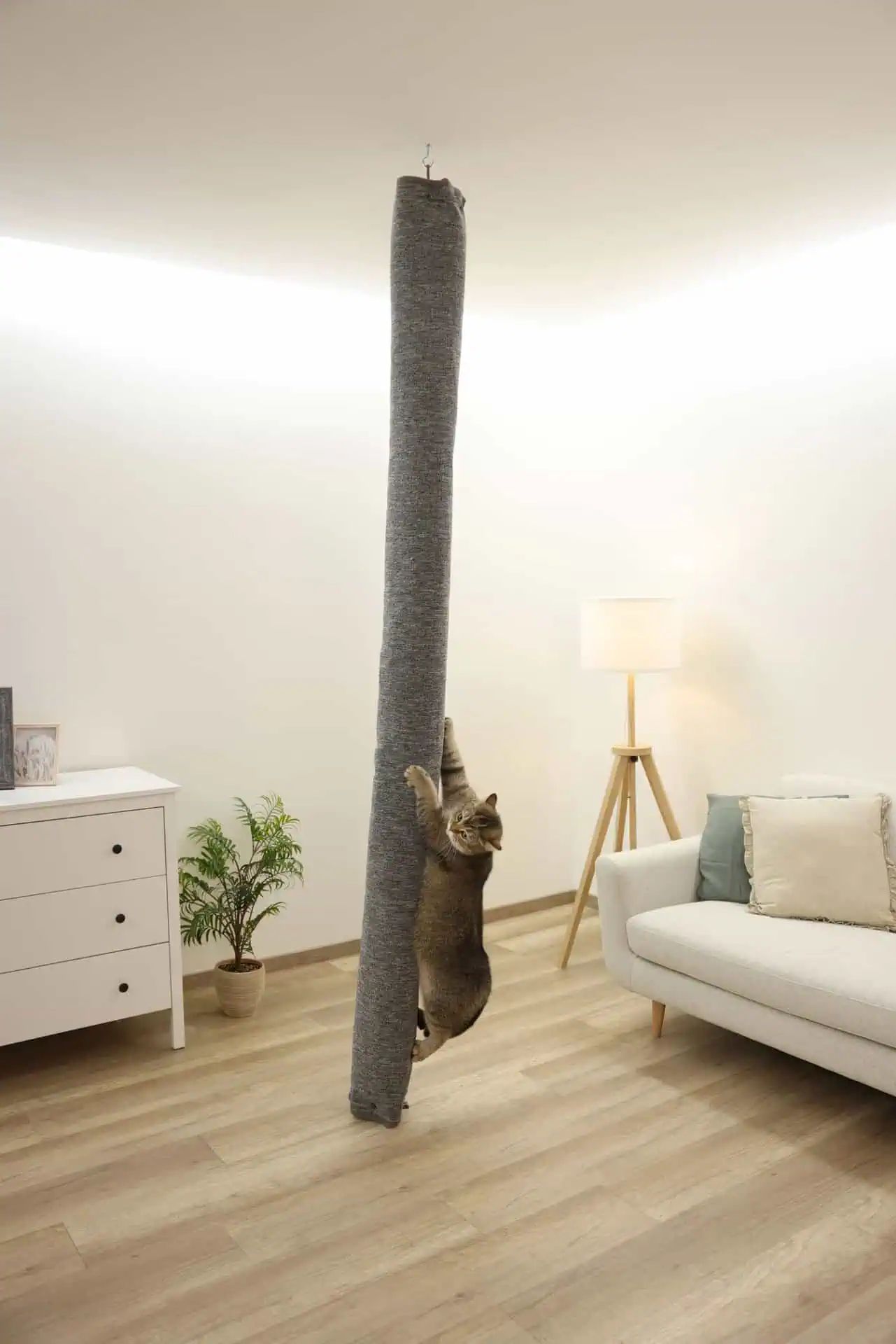 Kerbl Rucsac de cățărare Carpet pentru pisici, gri, 240 cm, în utilizare