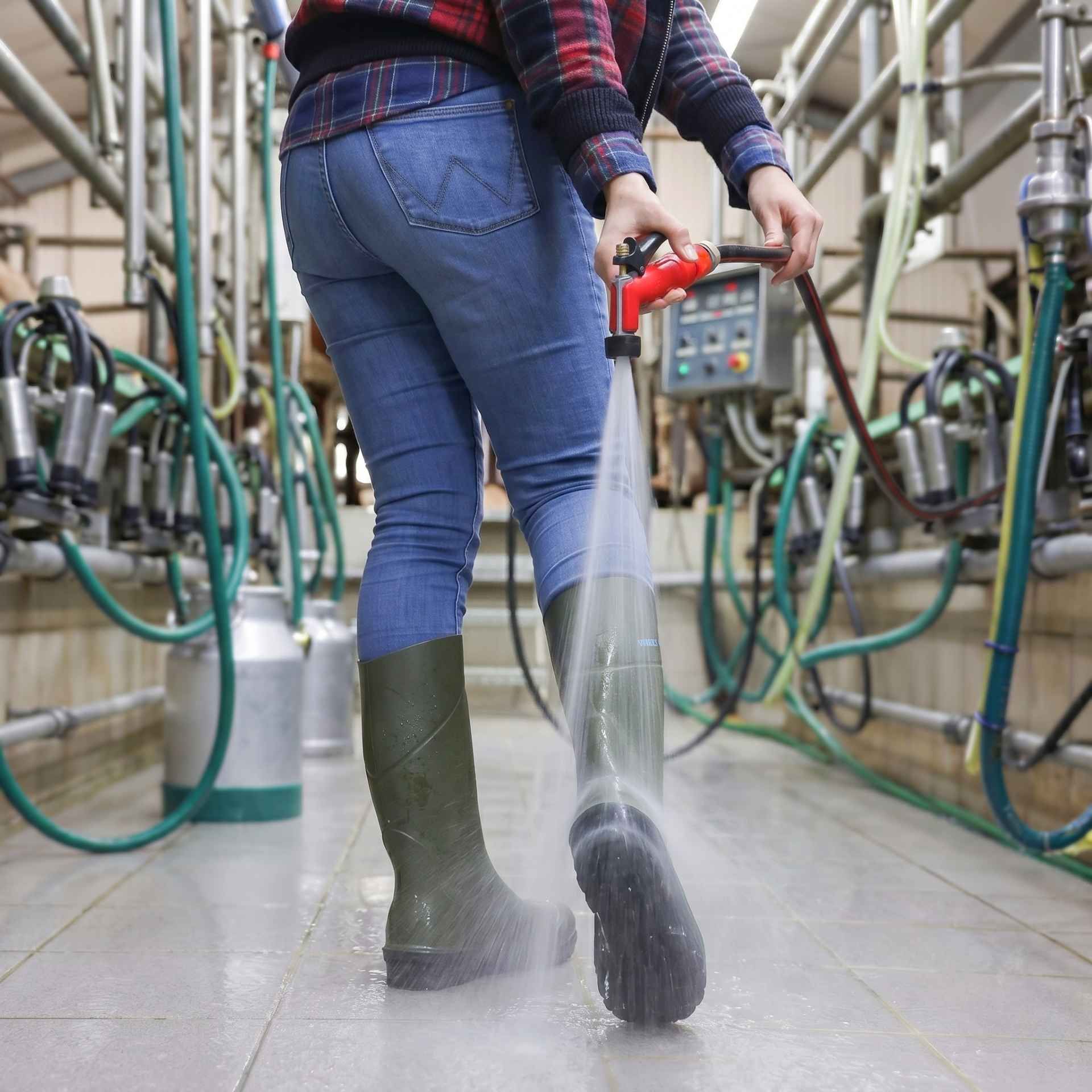 wader boots, rubber boots, water hose, sprayer, industrial setting