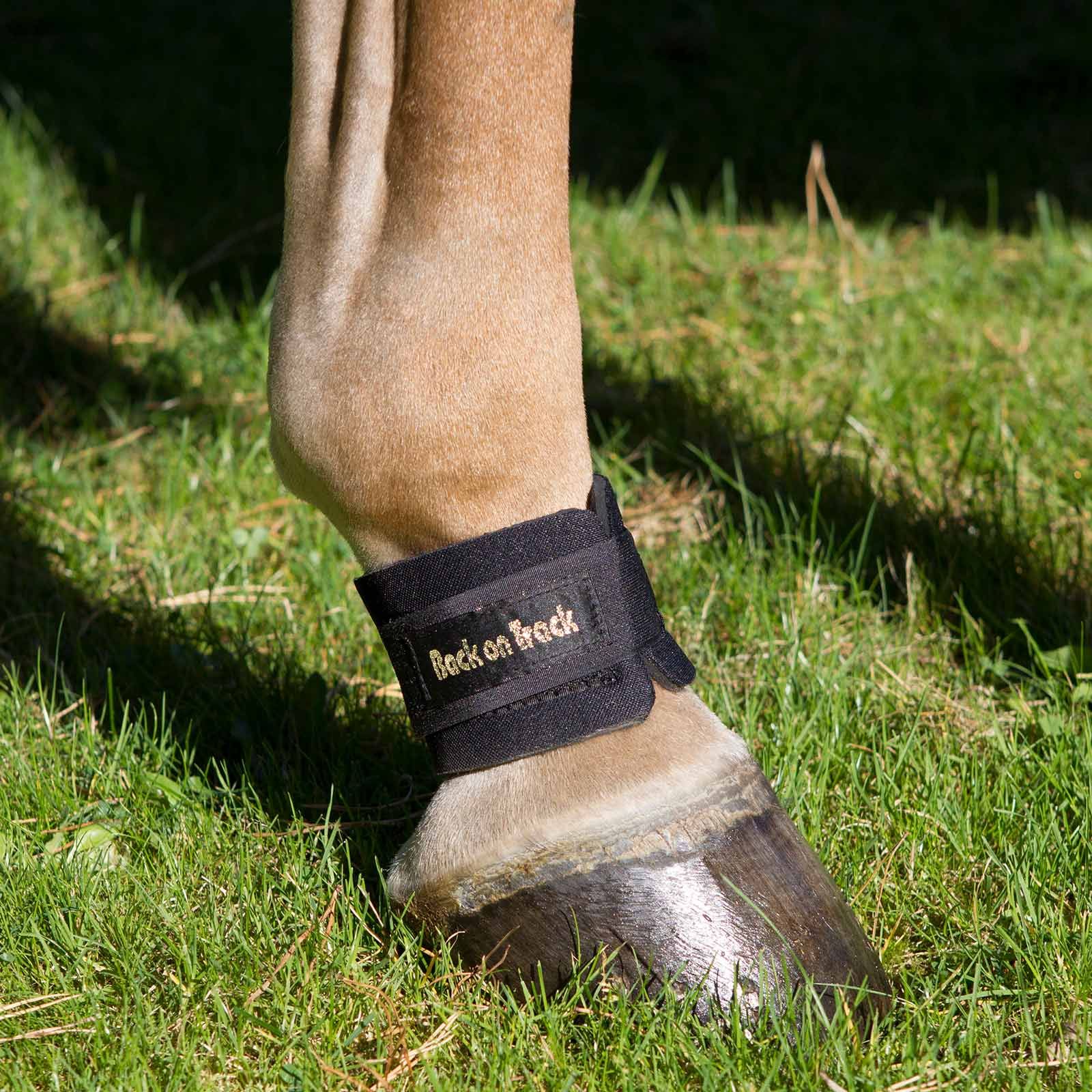 Bande cheville protectrice Back on Track noir S