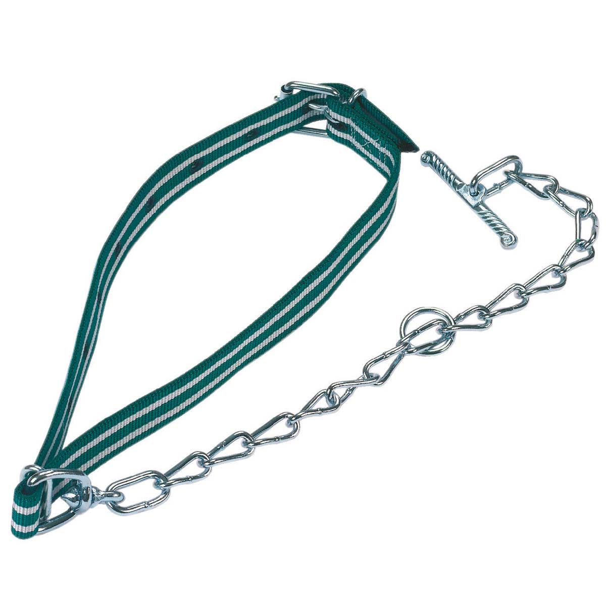 Kerbl Kälberanbindung komplett mit Halsband und Kette, 100 x 4 cm