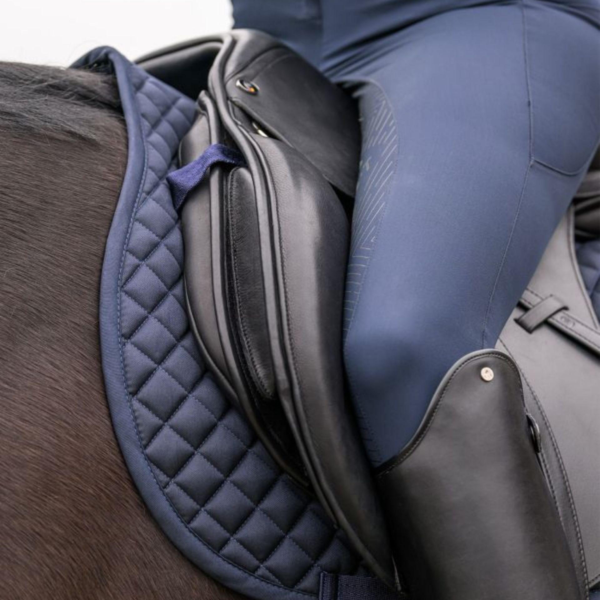 saddle, stirrups, leather, blue, quilted
