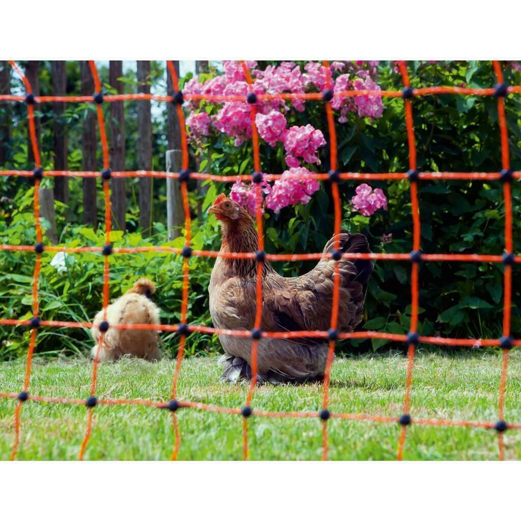 Agrarzone poultry Fence Set N3500 230V, 5.5J, net 50m x 112cm, orange, in use