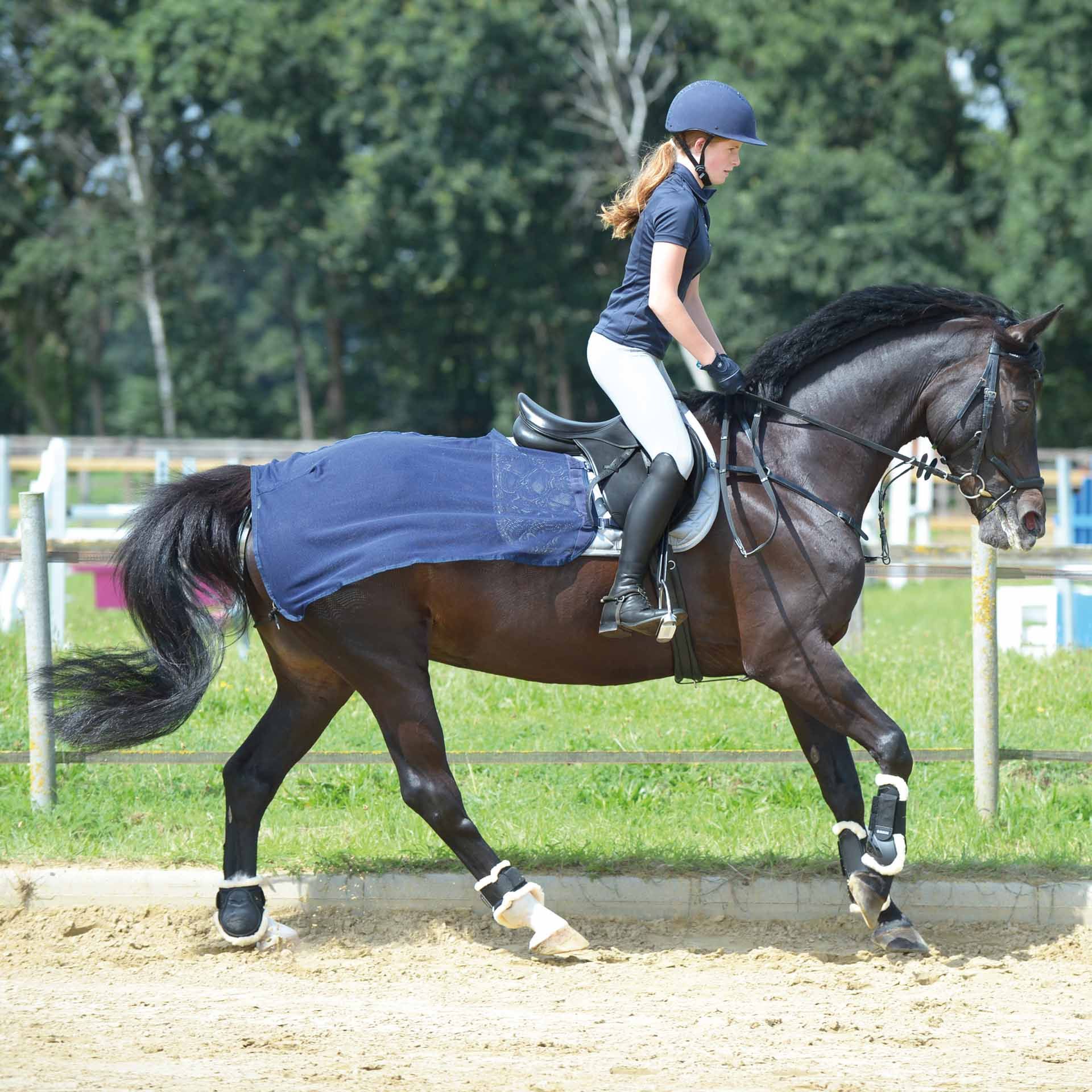 Couvre-reins BUSSE FLY, protection anti-insectes pour l'entraînement, bleu marine, 125 cm