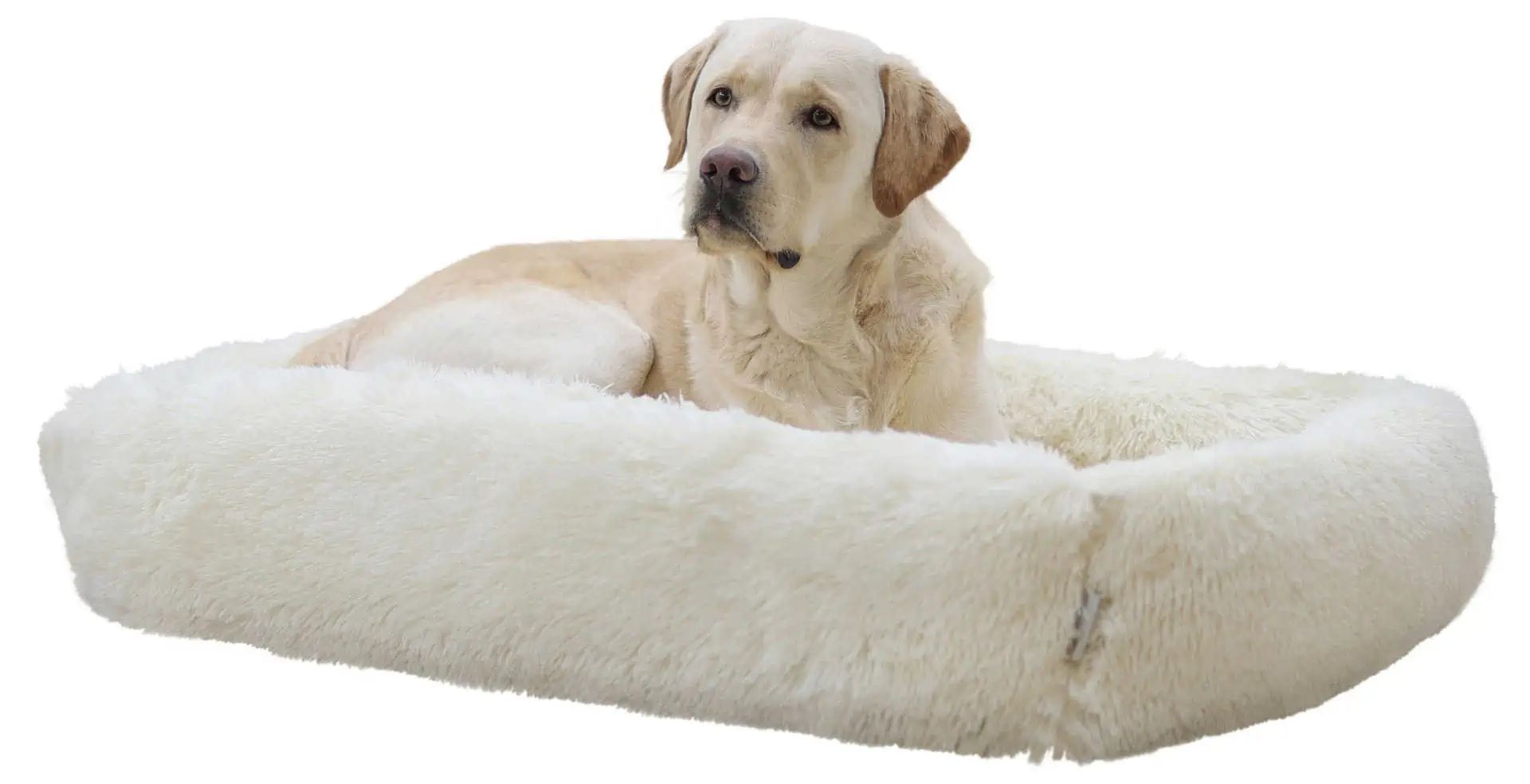 Kerbl Snuggle Bed Fluffy Cream, Soft Plush Pet Bed, in use