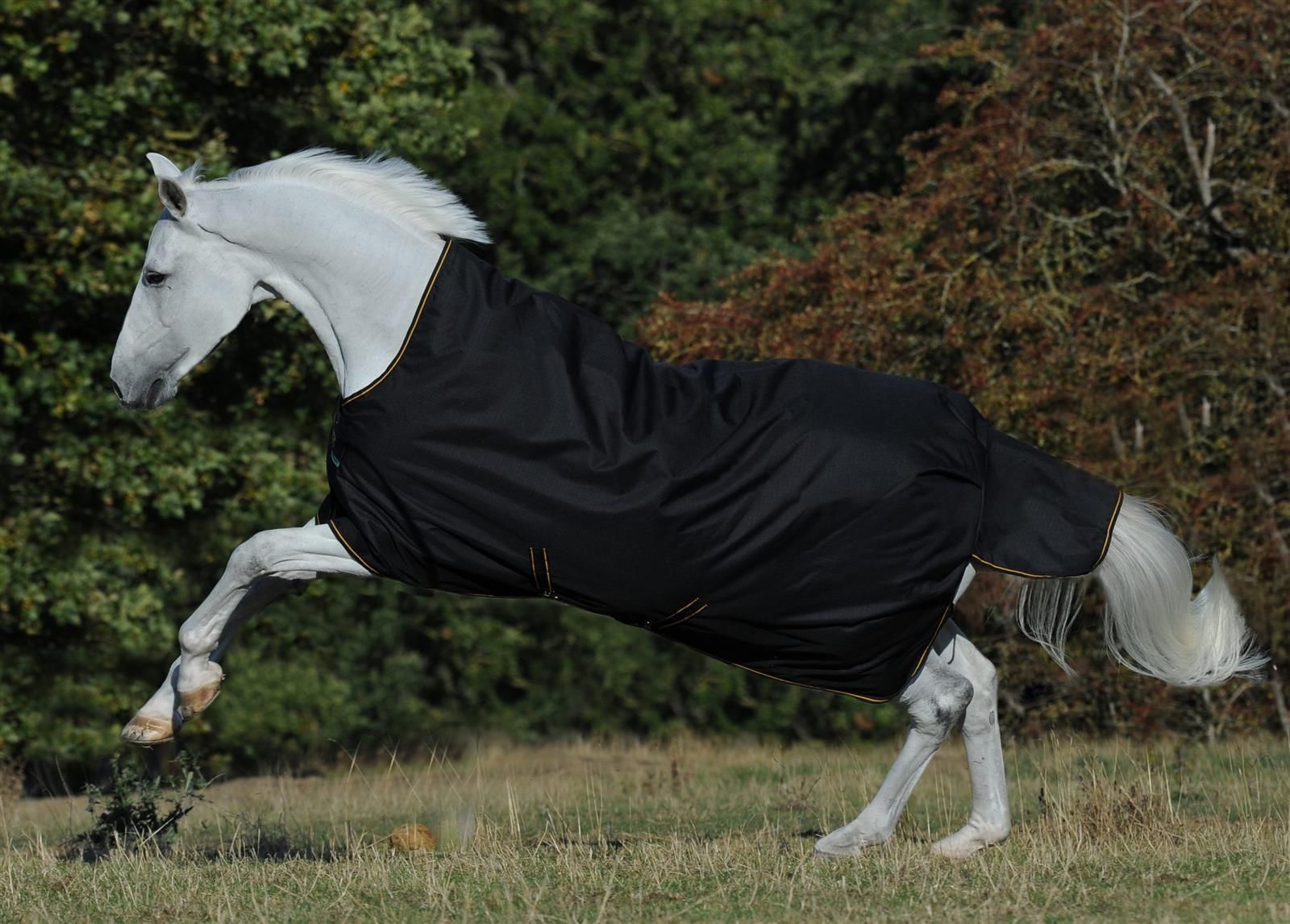 Bucas Irish Turnout Pferdedecke 150g 135