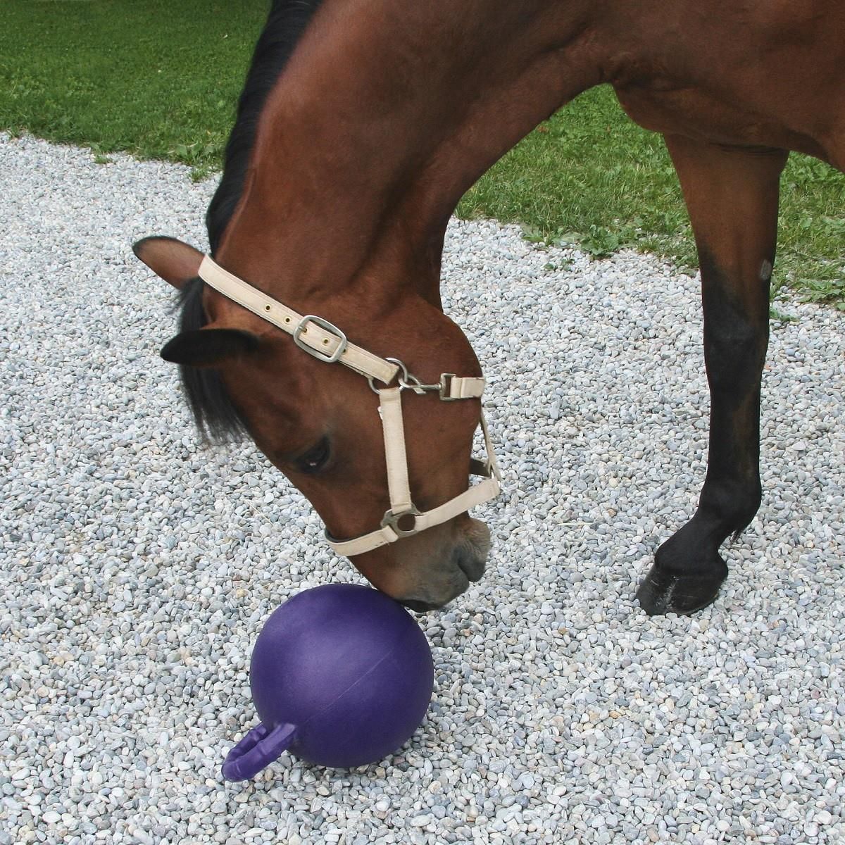 Kerbl Pferdespielball mit Aroma, bissfest, Apfel- oder Minzgeschmack, Minz/Lila