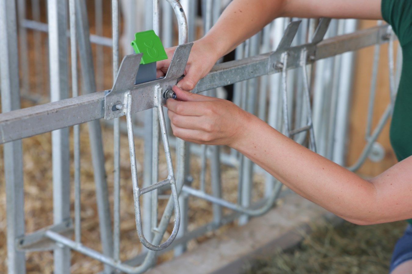 metal, farm equipment, gate latch, hand editing, green tag
