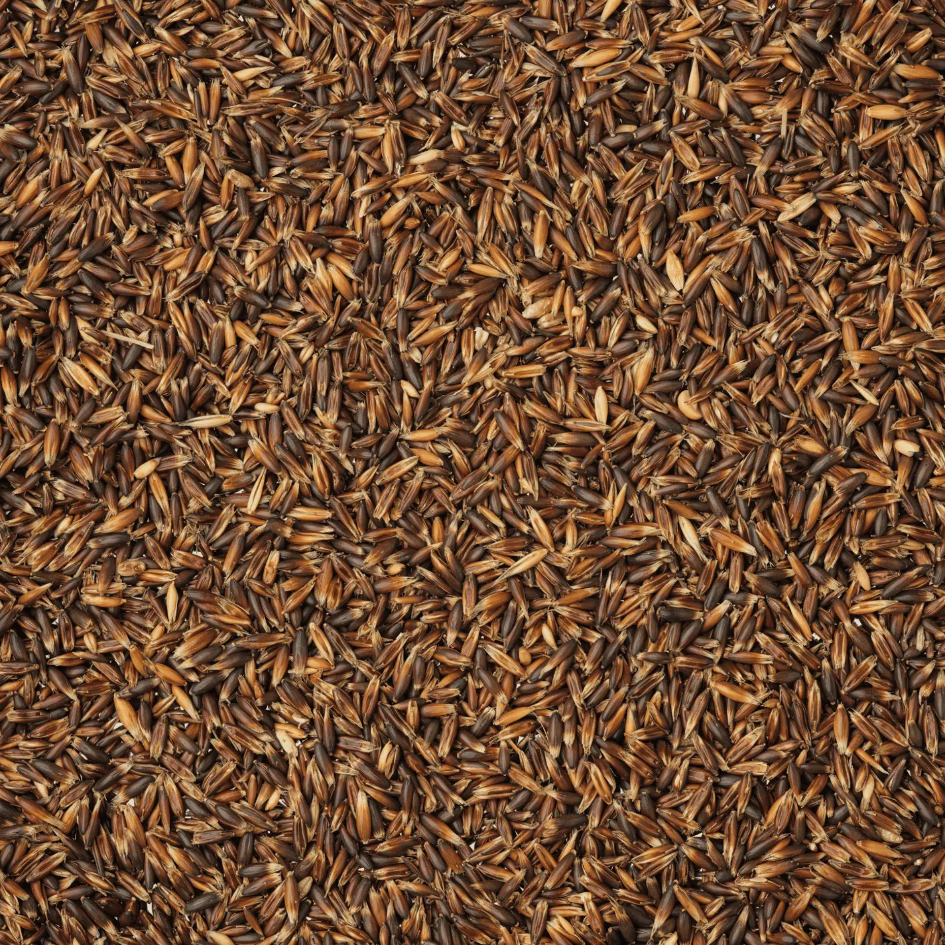 Leimüller Avena nera, dettaglio