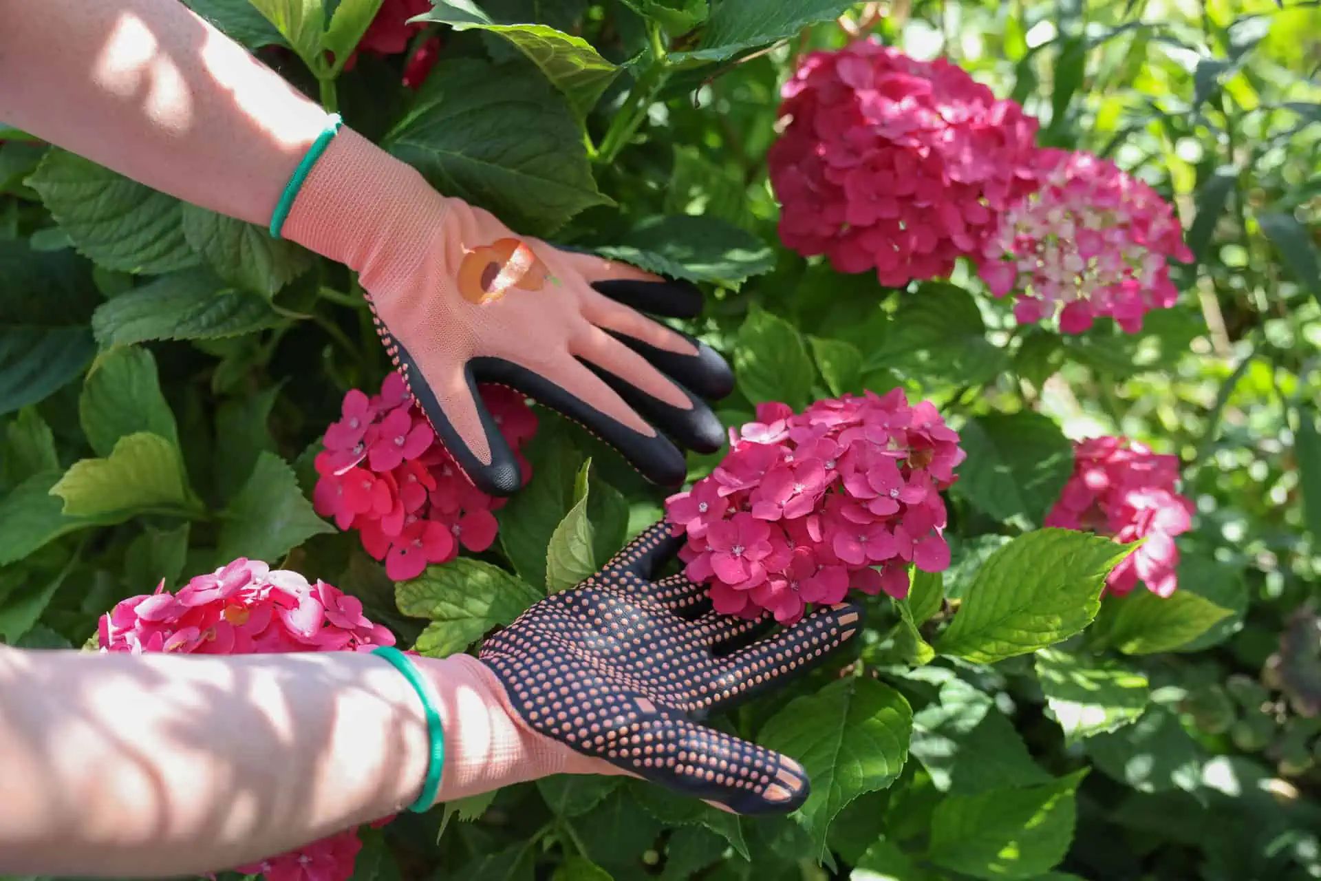 Gant de jardinage Blossom abricot picoté