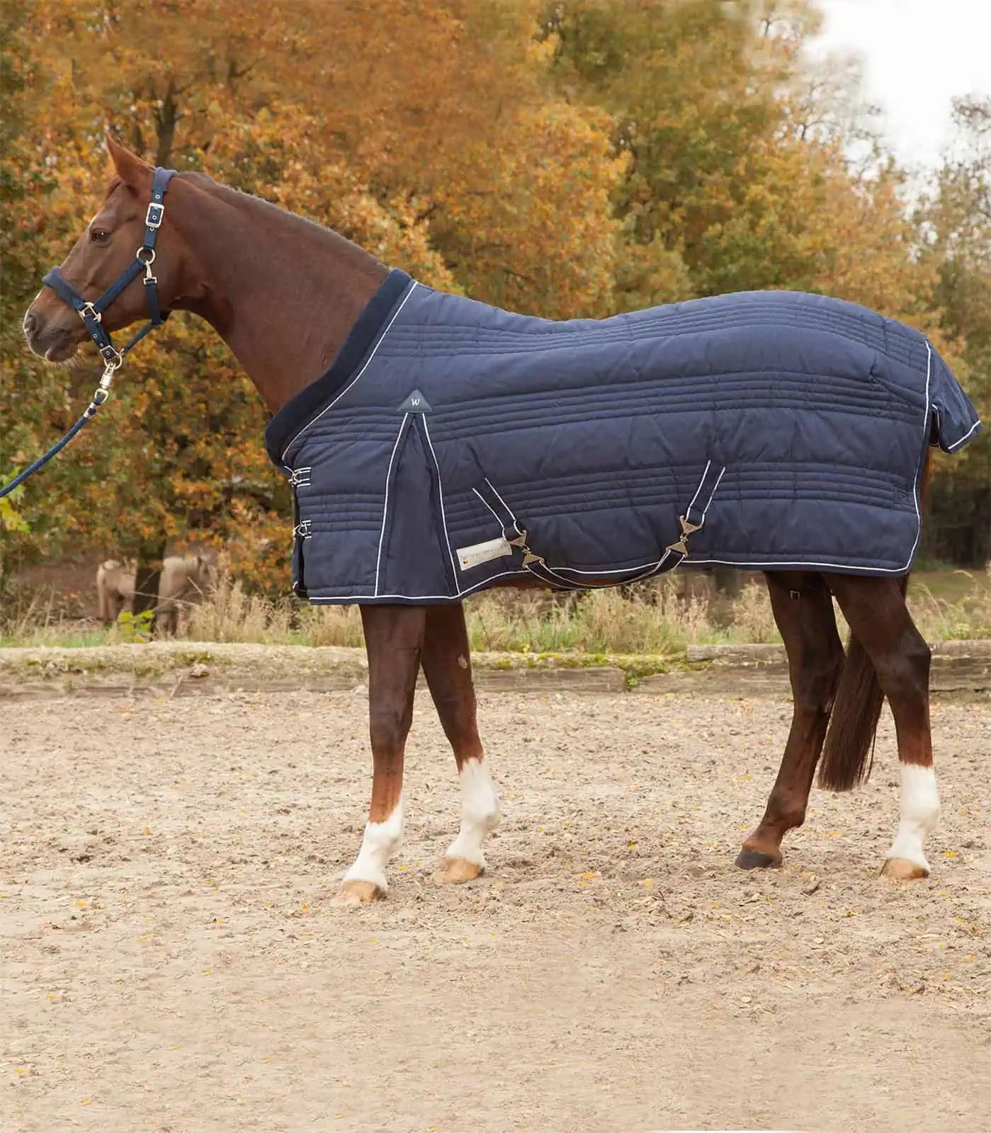 Couverture d'écurie Waldhausen COMFORT, 200 g, respirante, 145 cm