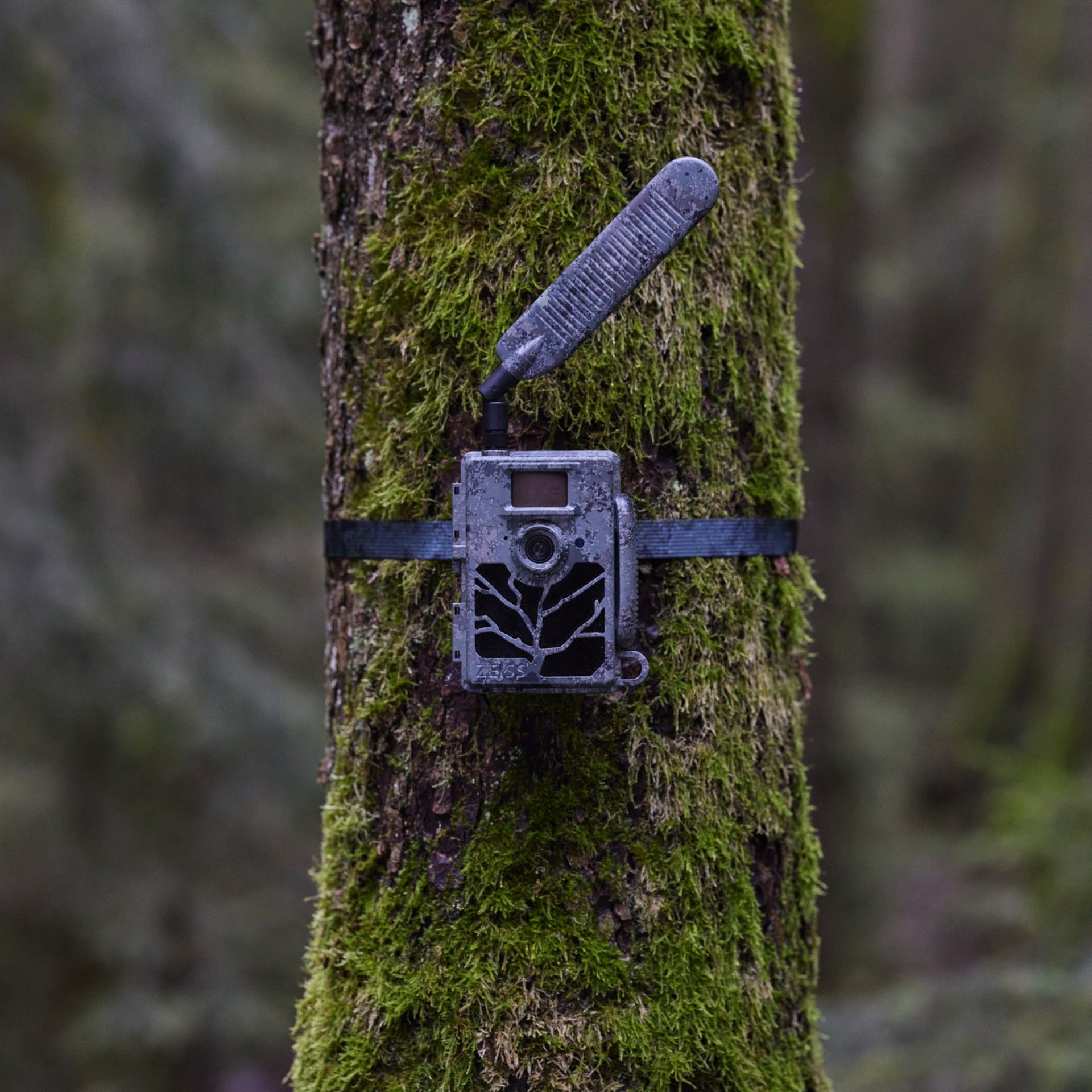 Caméra de chasse ZEISS Secacam 5, caméra LTE avec application, en utilisation