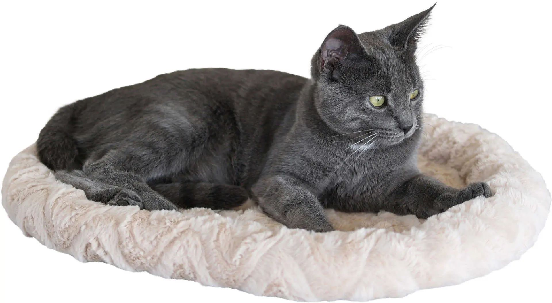 Kerbl Snugly Bed for Dogs & Cats, Reversible, 54x45 cm, in use