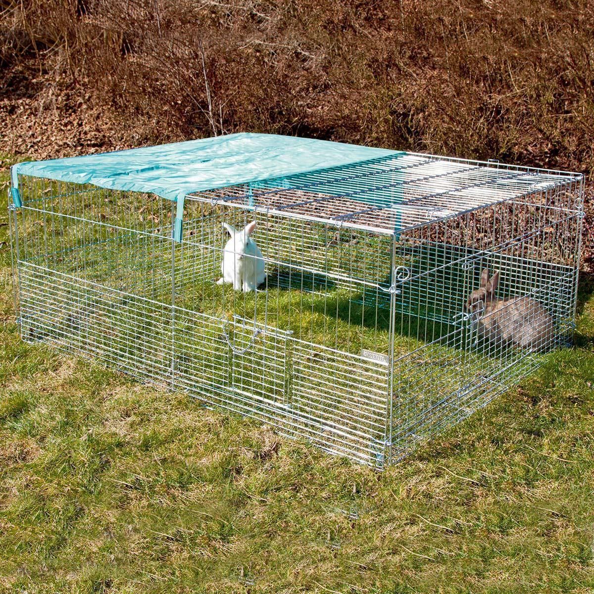 Enclos pour jeunes animaux en liberté avec barrière d'évasion