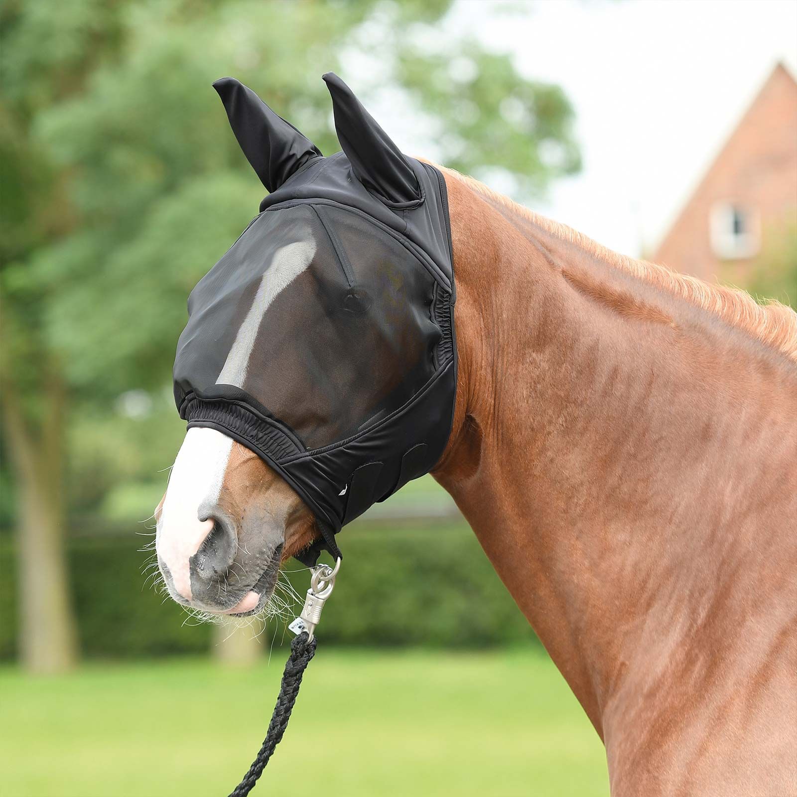 BUSSE Fliegenmaske FLY BUCKLER