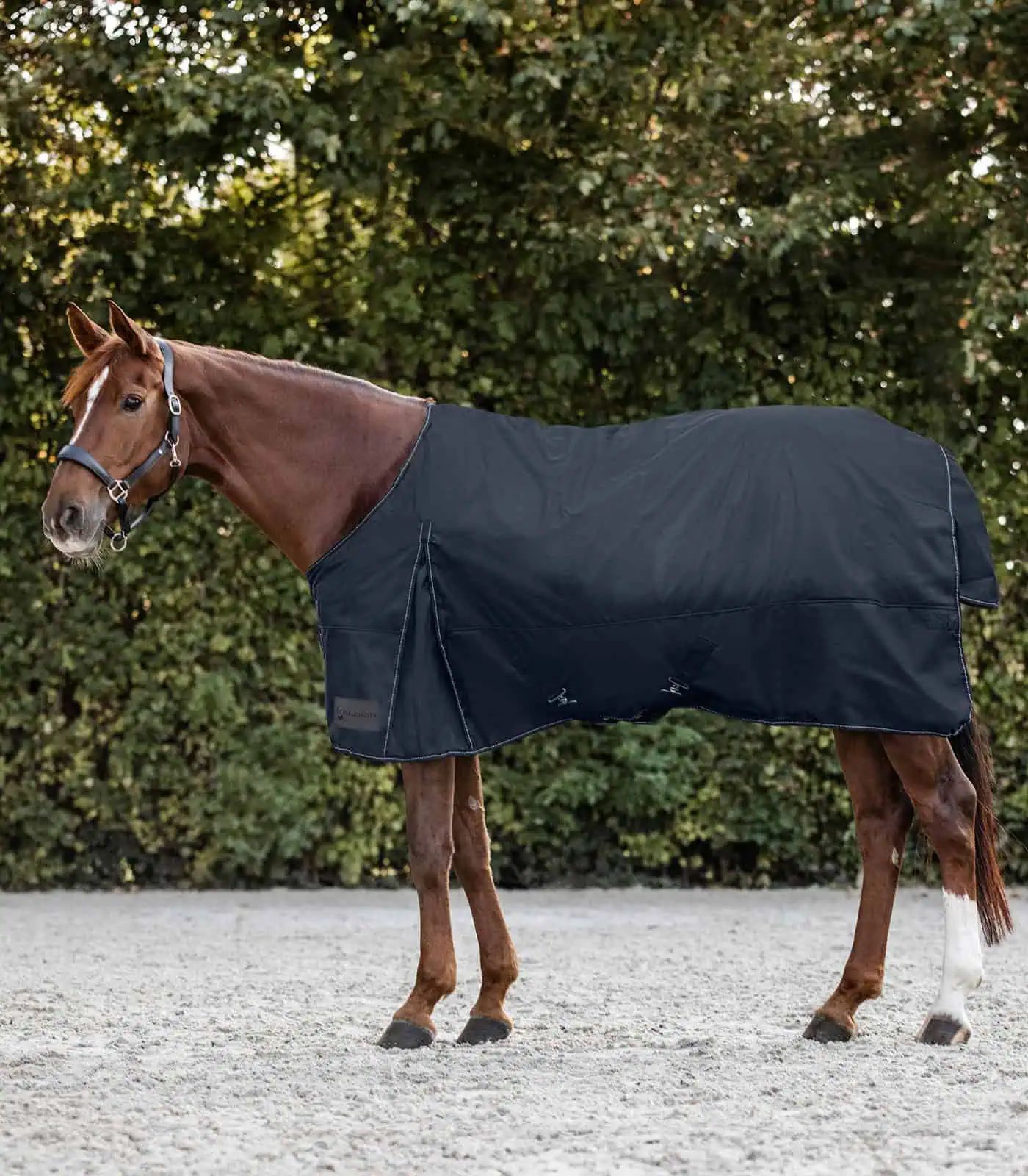 Couverture d'extérieur Waldhausen Nordic Light, imperméable 600 deniers, bleu nuit 115 cm