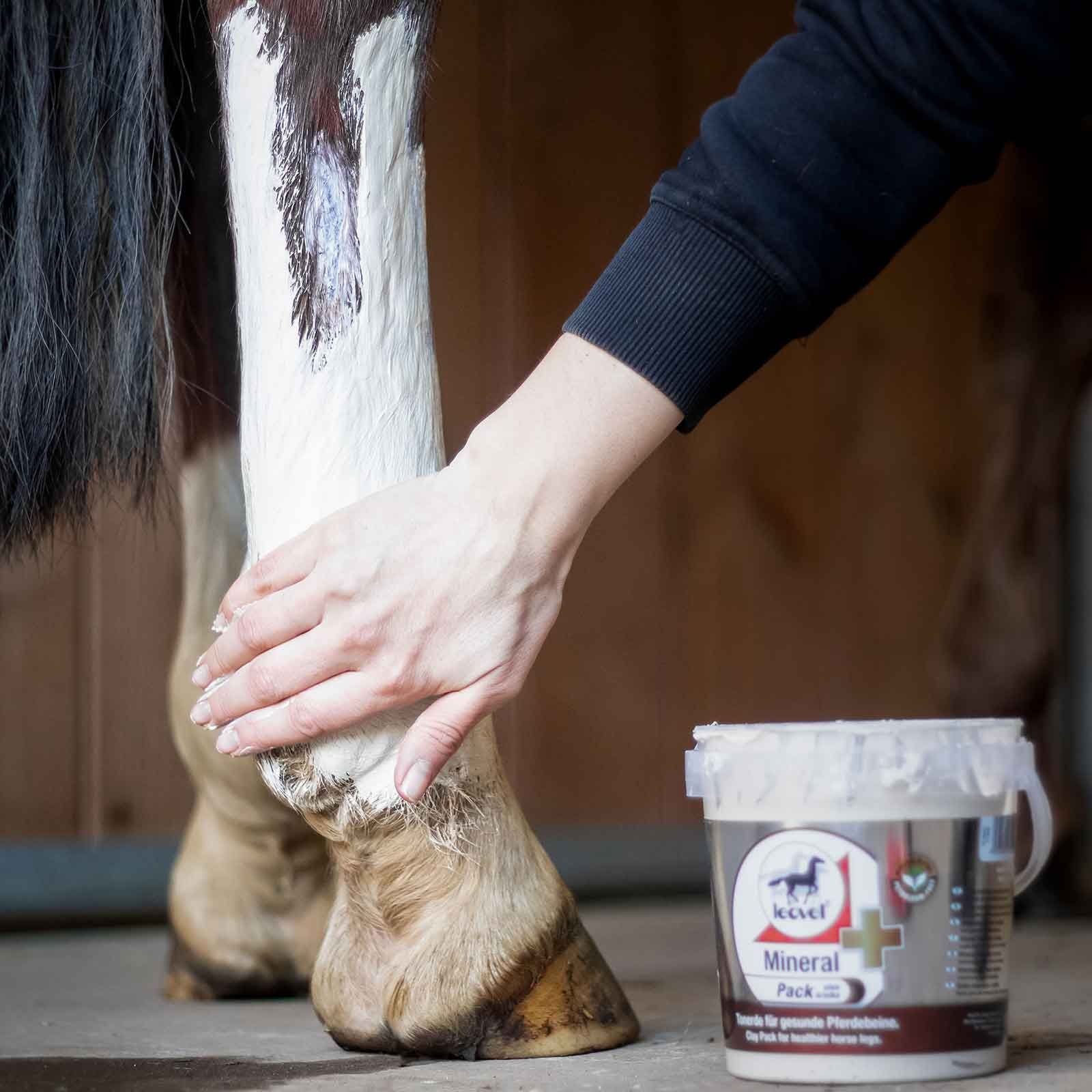 Leovet Mineralpack Argile à l'Arnica pour Membres du Cheval, 1500 g, en utilisation, dans la main