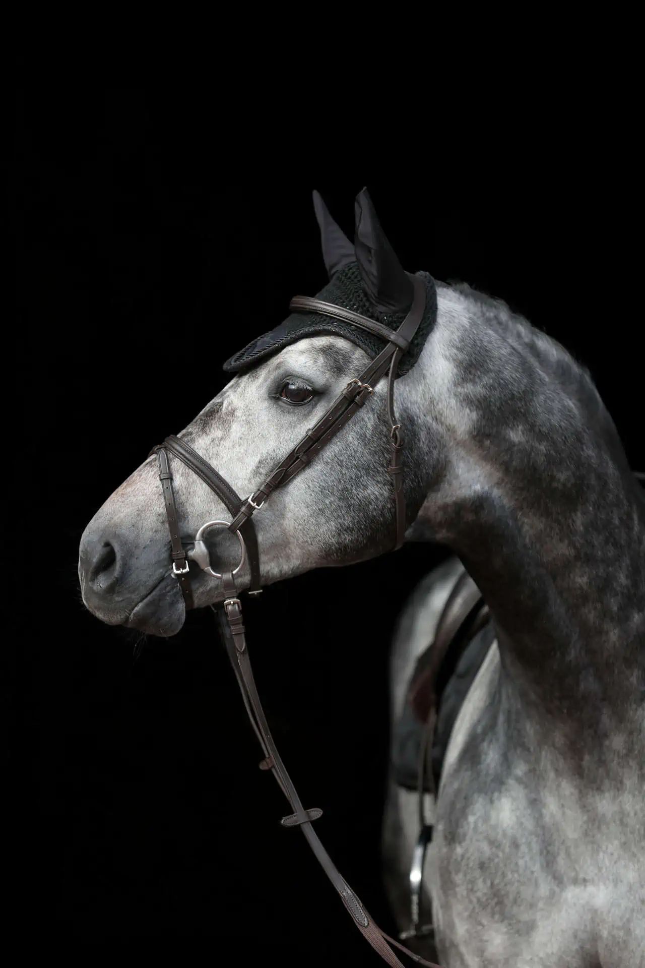 Covalliero Fliegenhaube Empara Cob/Full, gehäkelt, mit Glitzerapplikationen, im Einsatz