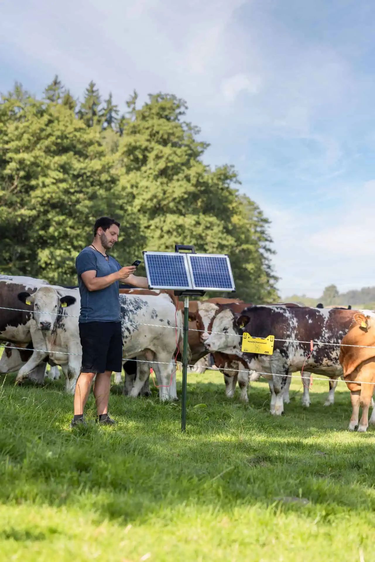 Électrificateur de clôture AKO SunPower S2400 Smart 12V, 3,2 Joule, en utilisation, au pré