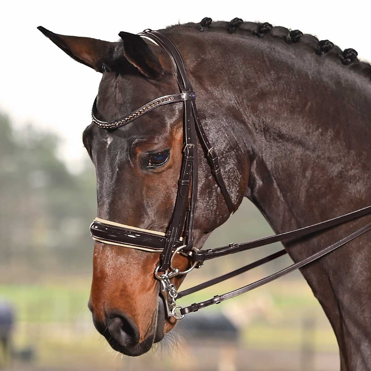 BUSSE SOLIBEL kantár LUXURY