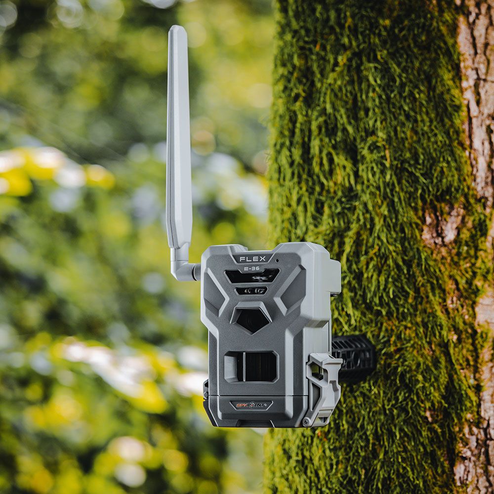 SPYPOINT FLEX E-36 trail camera mounted on a tree trunk