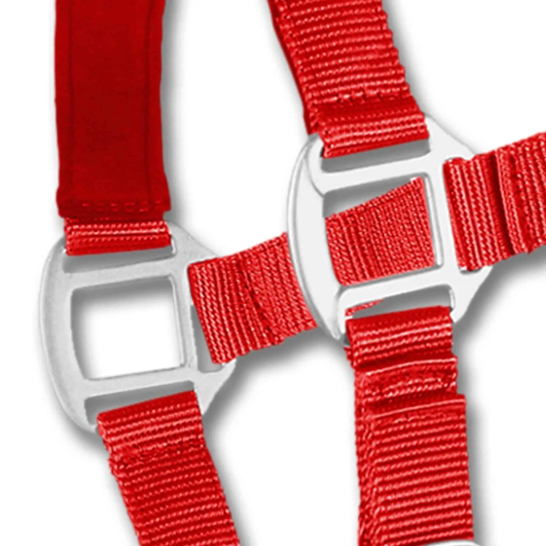 Licol Satin Waldhausen en Perlon, doublé doux et réglable, rouge, COB