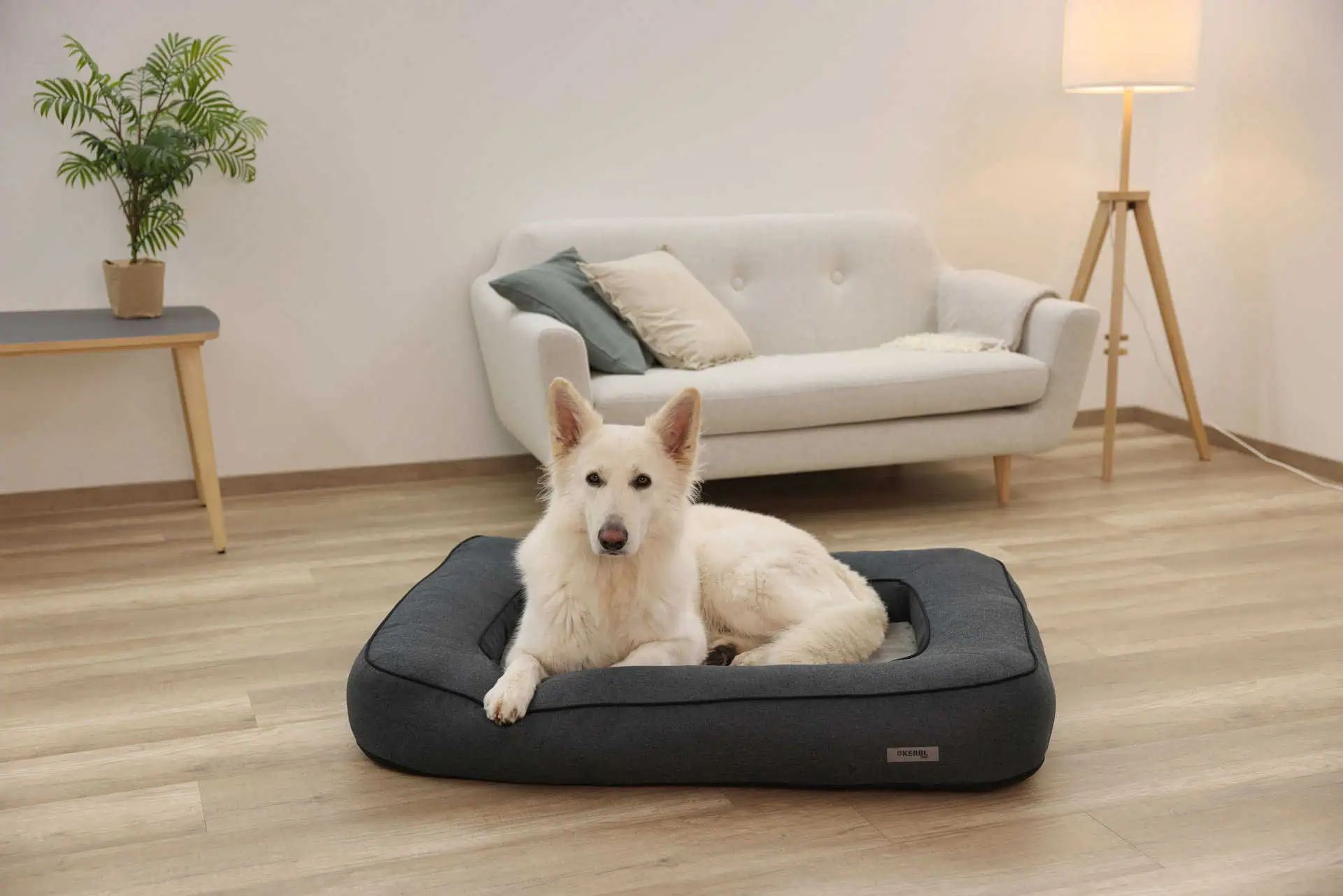 Letto per cani Kerbl Pet Platin Ortho, cuccia ortopedica, esempio di applicazione, in casa