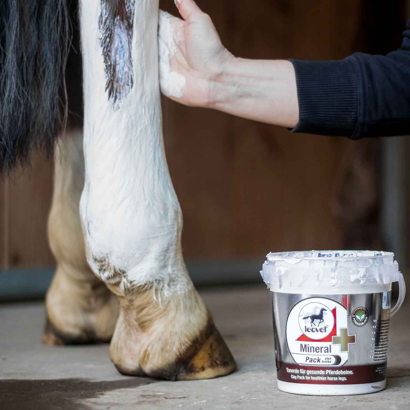 Leovet Mineralpack Argile à l'Arnica pour Membres du Cheval, 1500 g, en utilisation, jambe