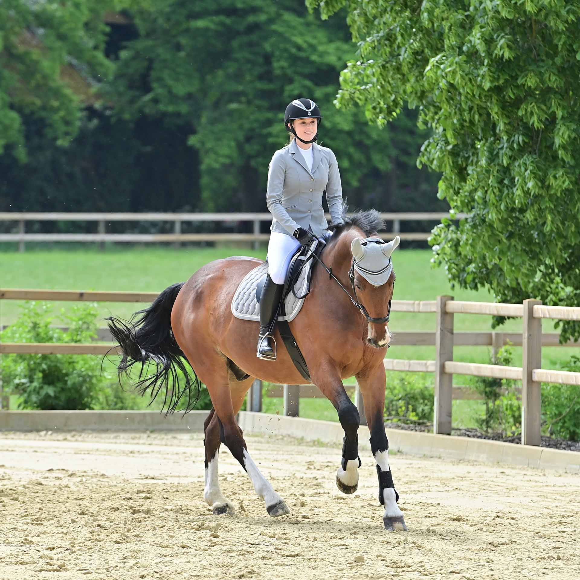 BUSSE Turnier-Sakko FLORENZ, elegantes Reitsakko für Turnier und Freizeit, im Einsatz