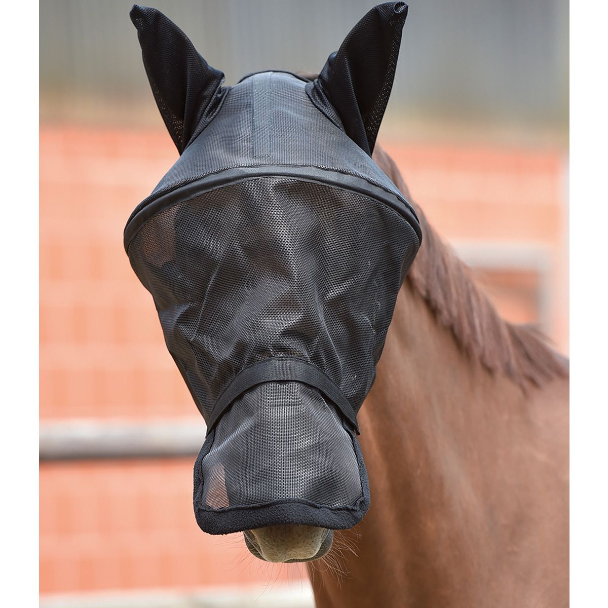 BUSSE Masque anti-mouches Fly Professional, protection complète, Shettland