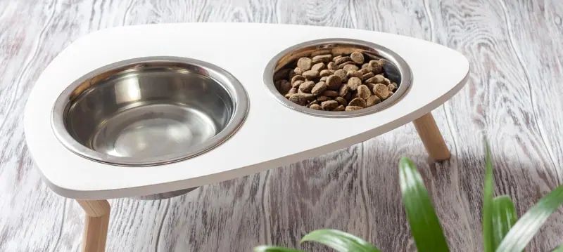 Station d'alimentation pour chiens