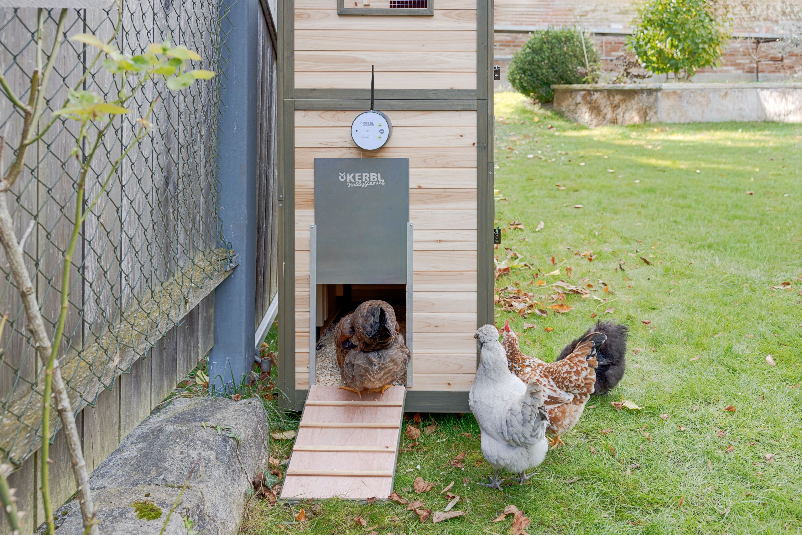 chicken coop, hen house, wooden coop, poultry enclosure, feeder door