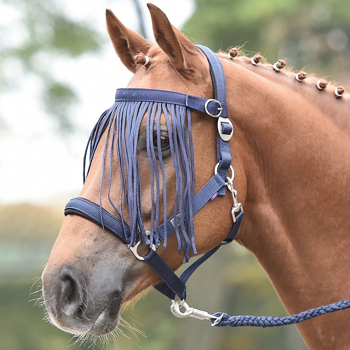 BUSSE Frontal anti-mouches TAMPERE, protection réglable, FULL, bleu marine