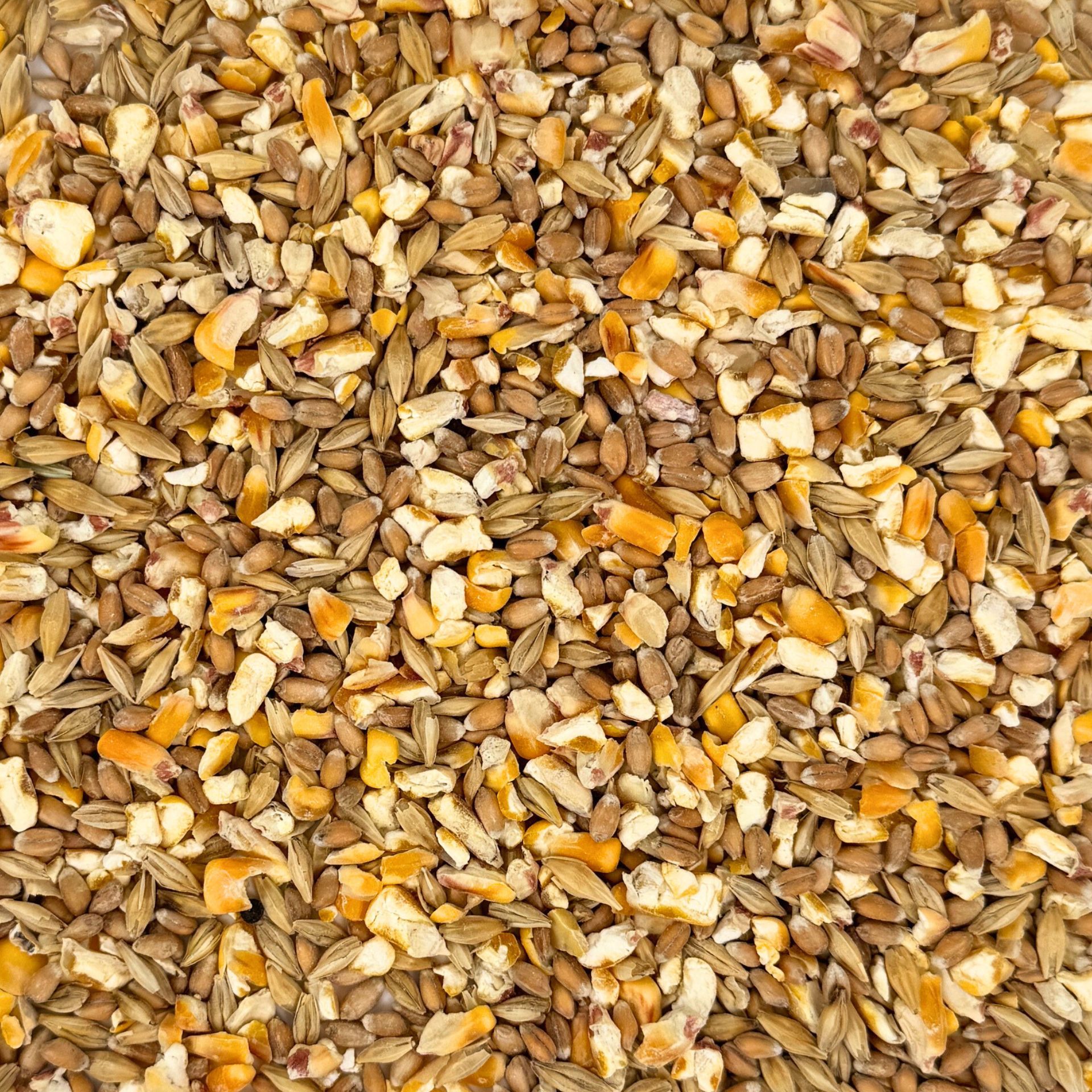 Agrarzone Bio Entenfutter & Gänsefutter Körner 20 kg, Detailansicht, Material