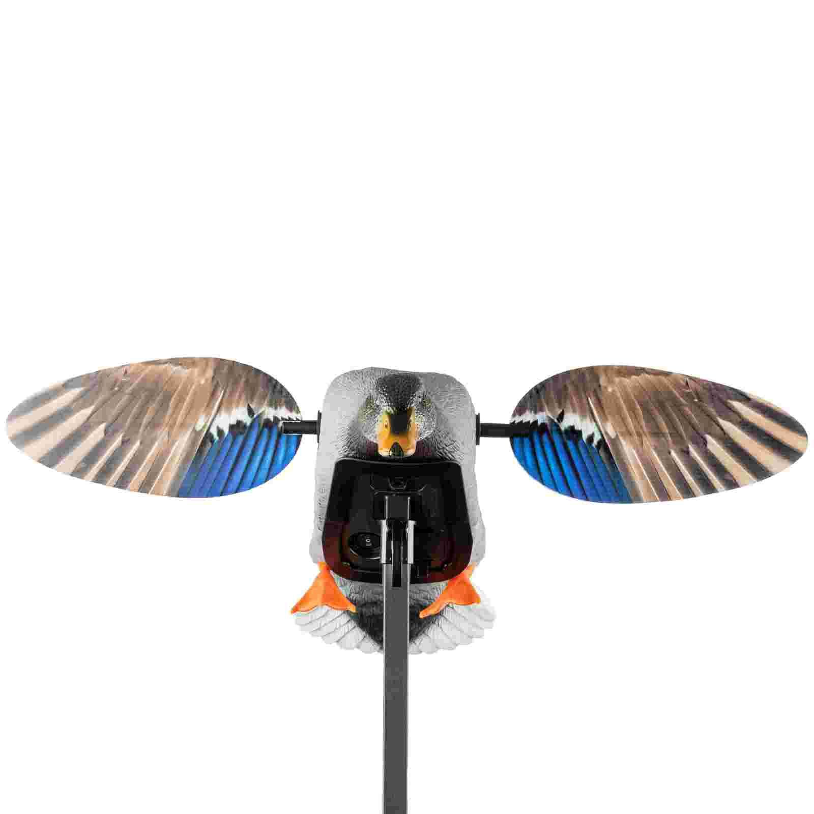 Mojo Mini Mallard Drake Vogelattrappe, Vorderansicht