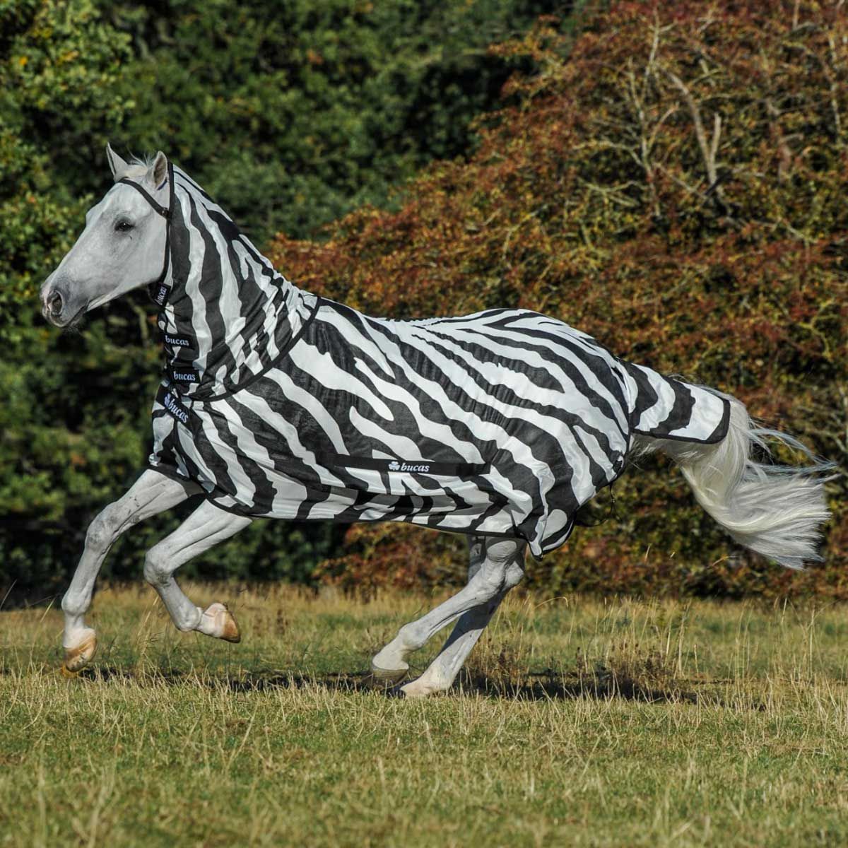 Couverture anti mouches cheval Bucas Buzz-Off Zebra Full-Neck 140
