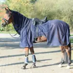 Pferd mit dunkler Fleecedecke und Halsteil steht auf einem Reitplatz, Beine mit Gamaschen bandagiert