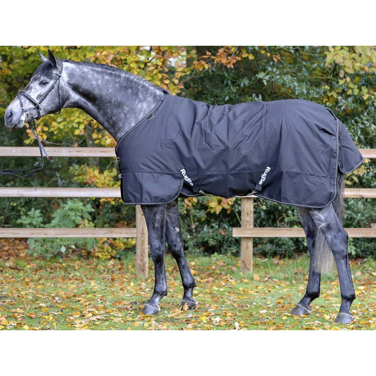 Covalliero Tapis de cheval RugBe IceProtect 600d, 200g, en utilisation, au pré