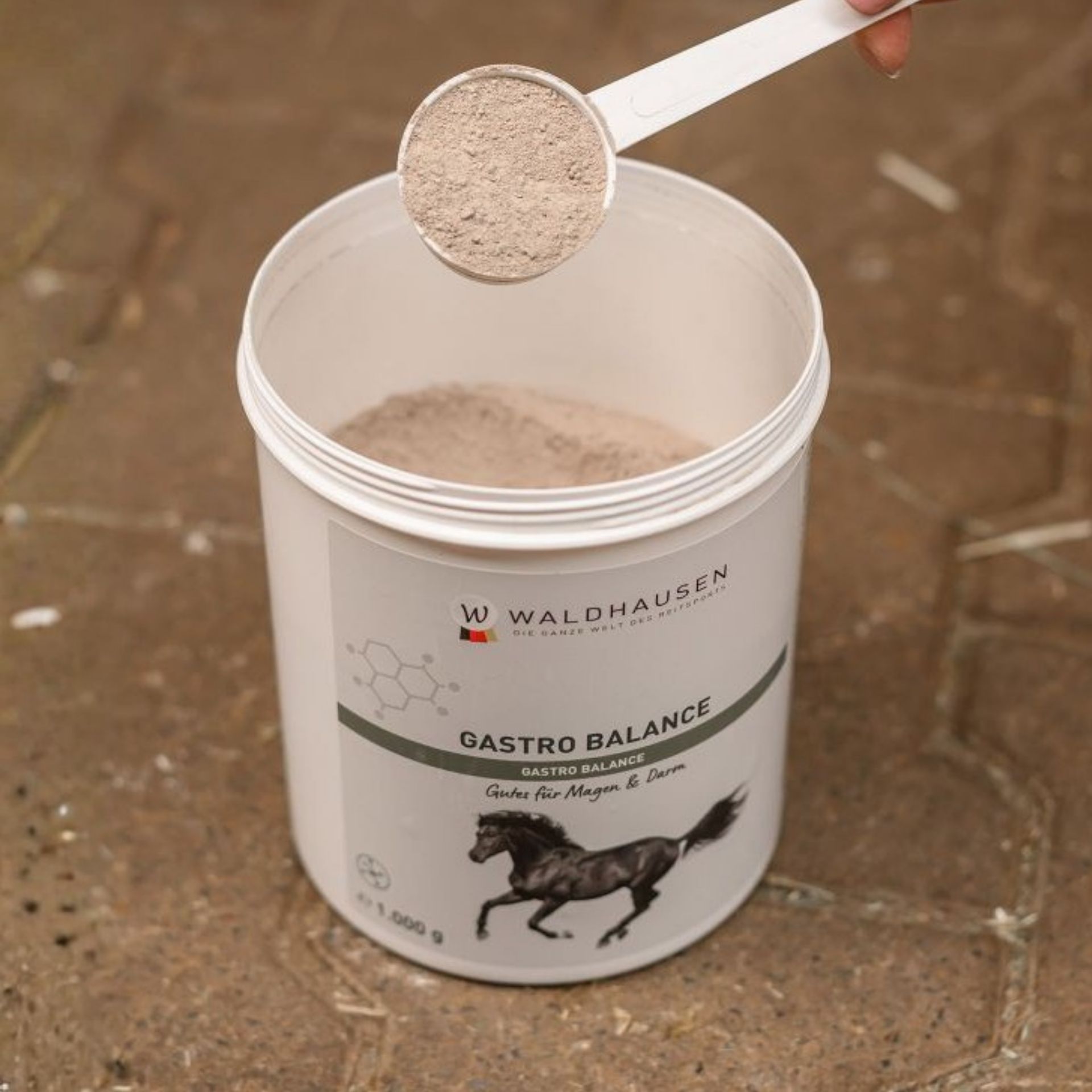 powder, gastro balance, horse product, supplement, container