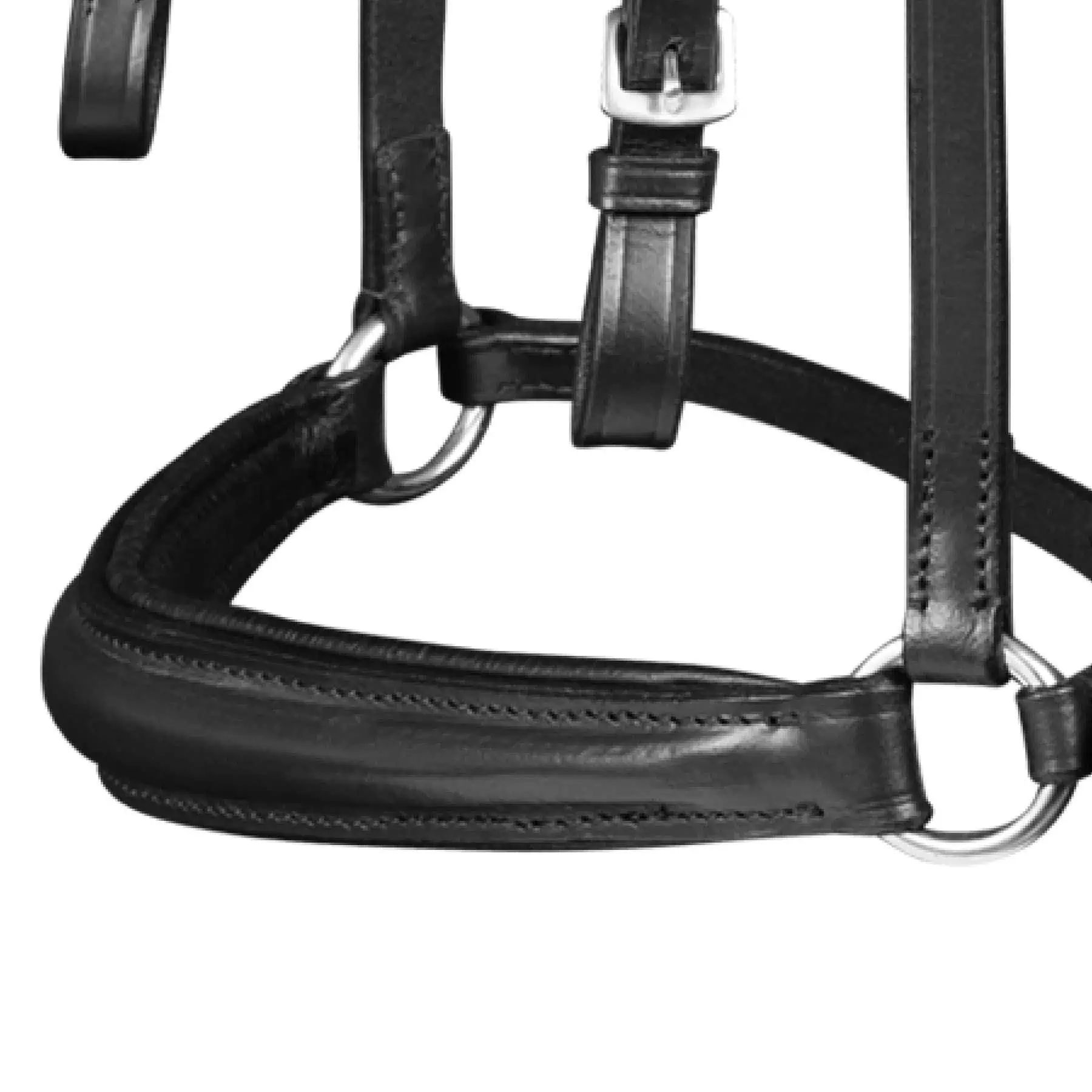 Waldhausen X-Line Standard Bridle Hannover, Anatomic Headpiece, detail view