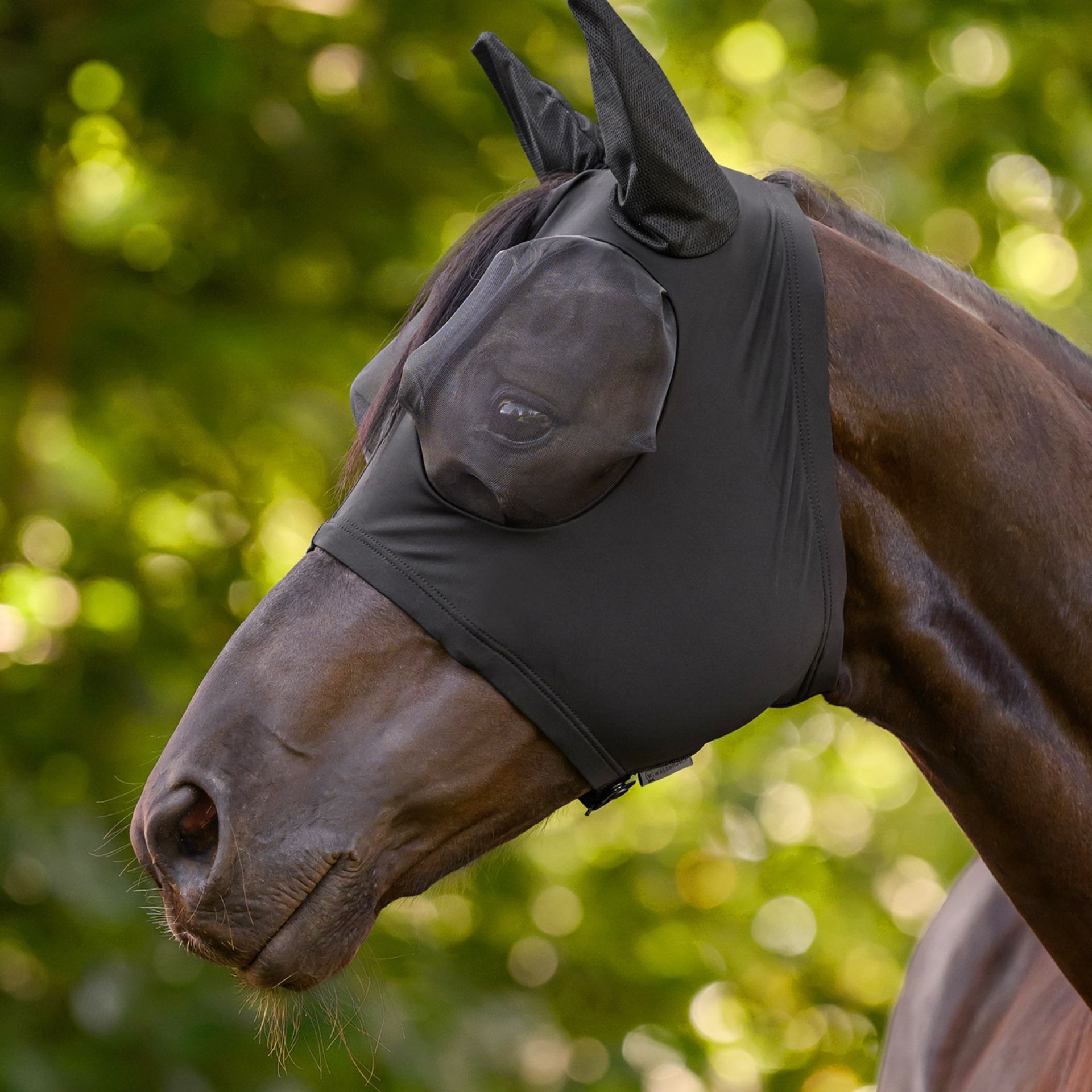 horse, horse mask, equestrian accessory, fly mask, soft fabric
