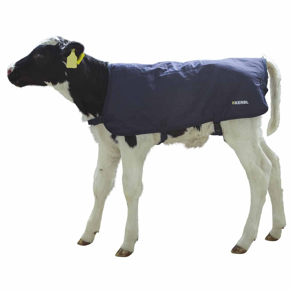 Kerbl EasyWear borjútakaró – könnyű, szél- és vízálló, 70 cm
