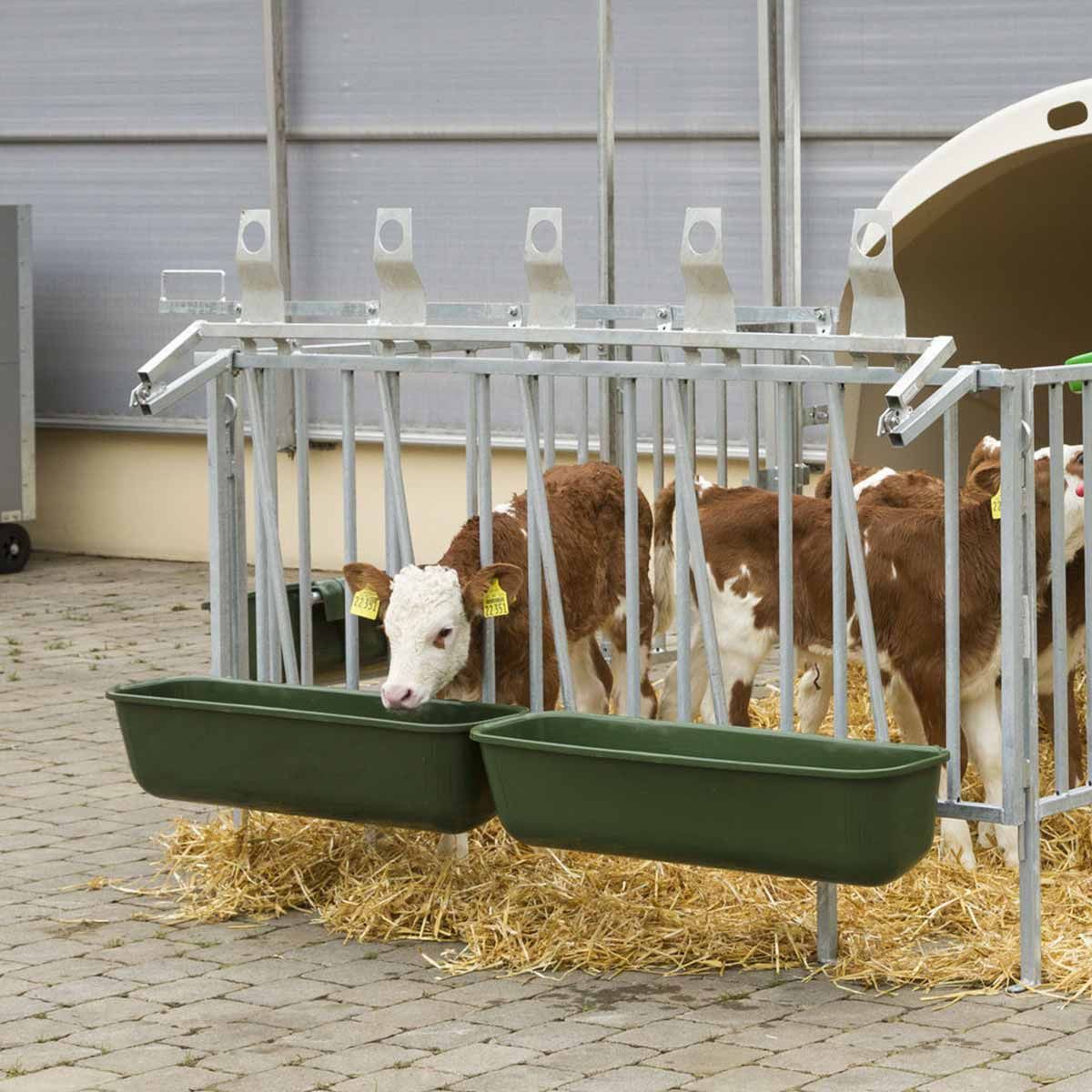 Kerbl Langfuttertrog zum Einhängen, 42 Liter, glasfaserverstärkt, im Einsatz, im Stall