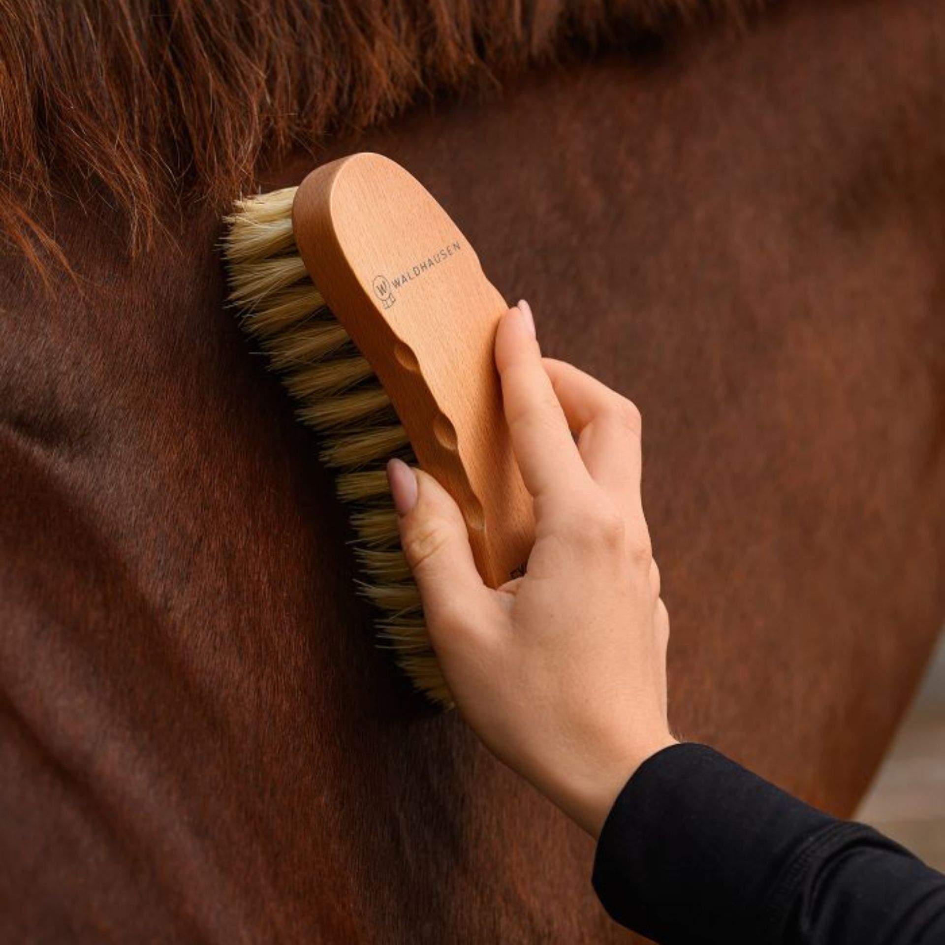 horse, grooming, brush, mane, wooden