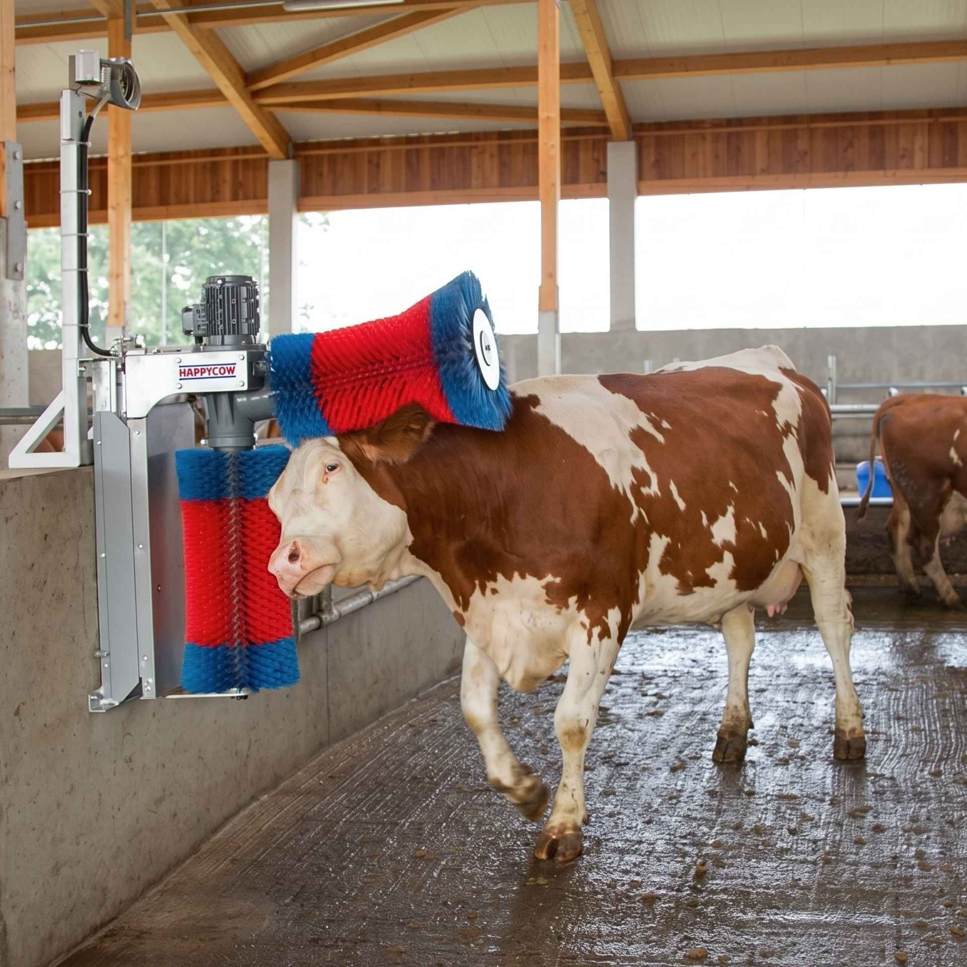 Kerbl Brosse à vaches HAPPYCOW Duo, brosse électrique pour bovins, en utilisation, à l'écurie